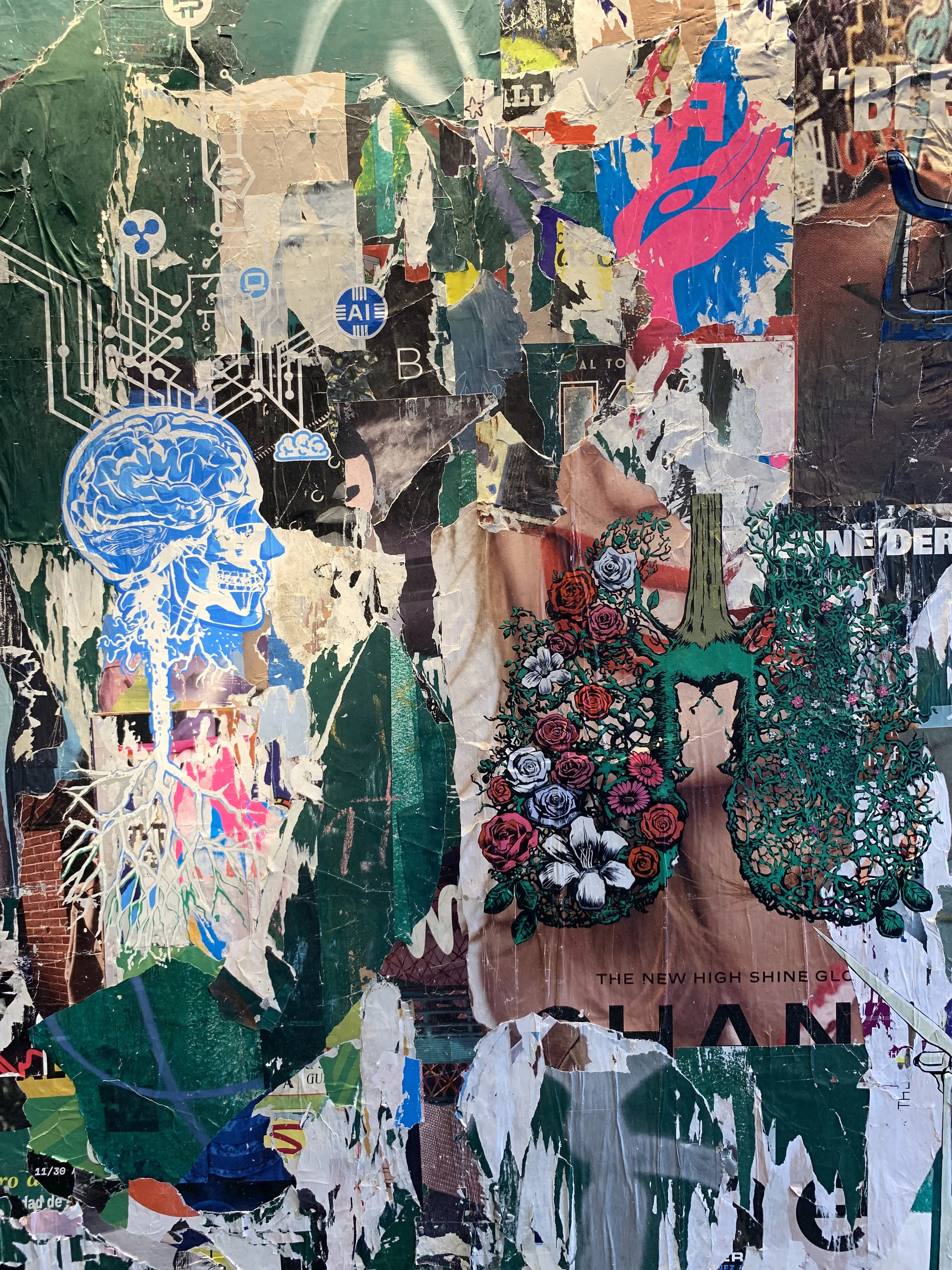 Murals — Stephen Bliss