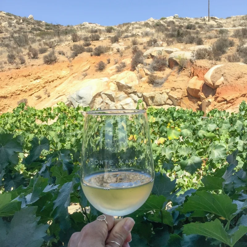 MonteXanic_ValleDeGuadalupe_WineCountry_WineTasting.jpg