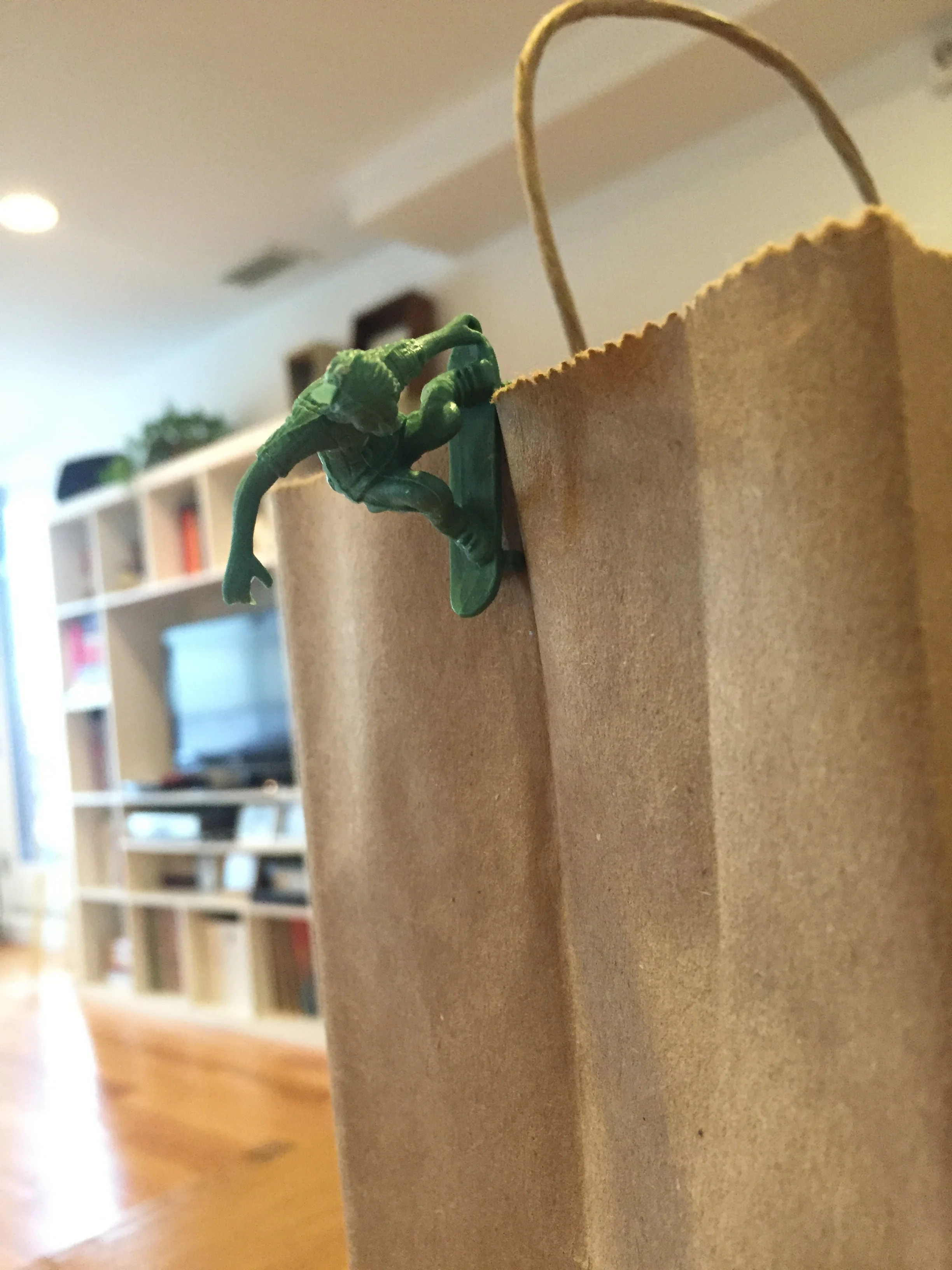  Frontside Lipslide Tail Grab, 2016 