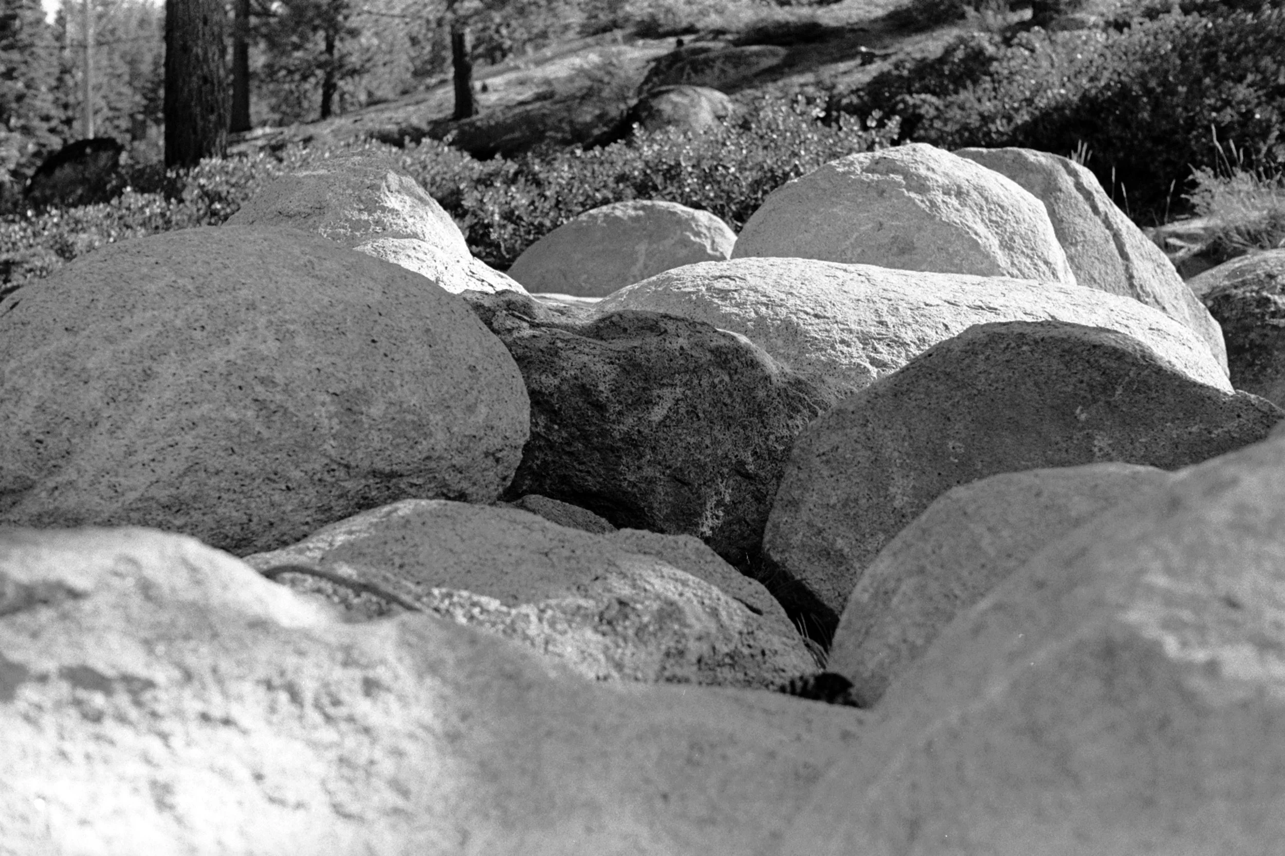 Boulders, Incline Village, Nevada, 2017