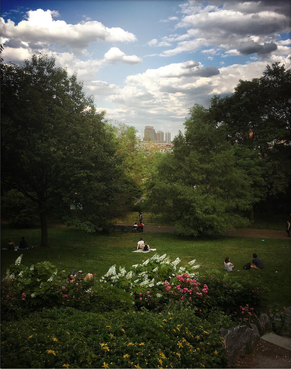  Morningside Park, NYC, 2019 