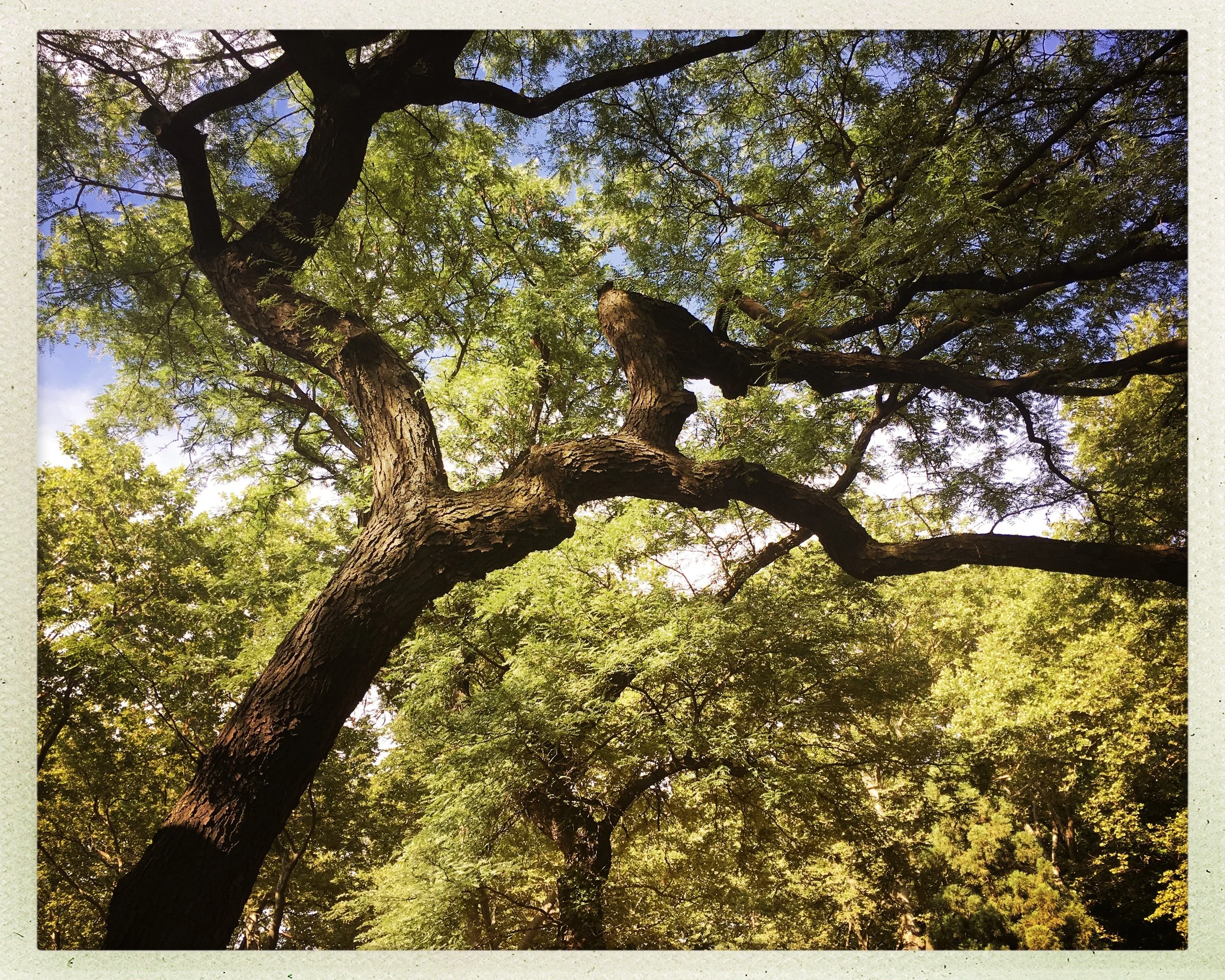  Riverside Park, NYC, 2020 