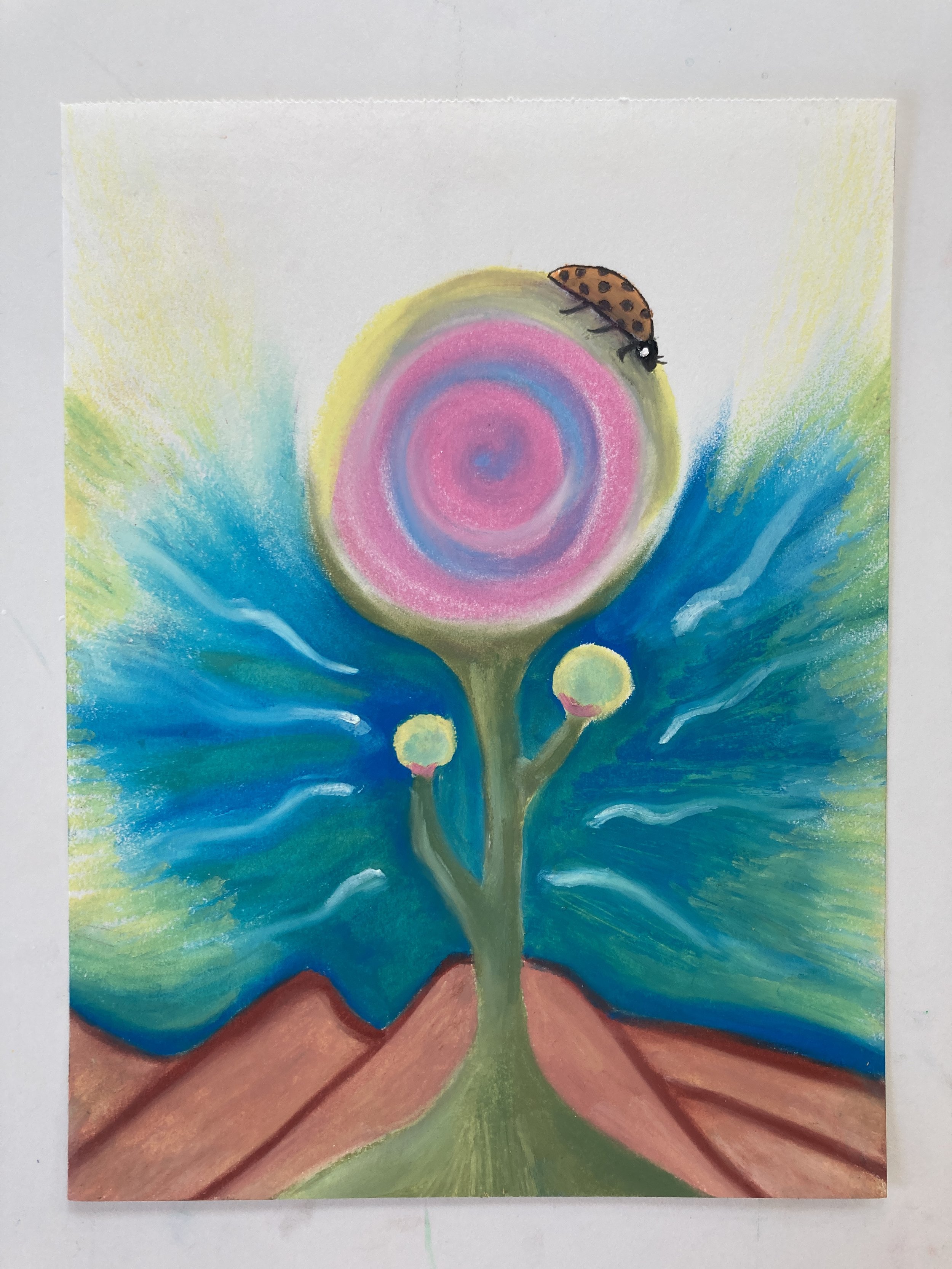  Nevada, Oil pastel, pencil, and fabric marker on paper, 2024 