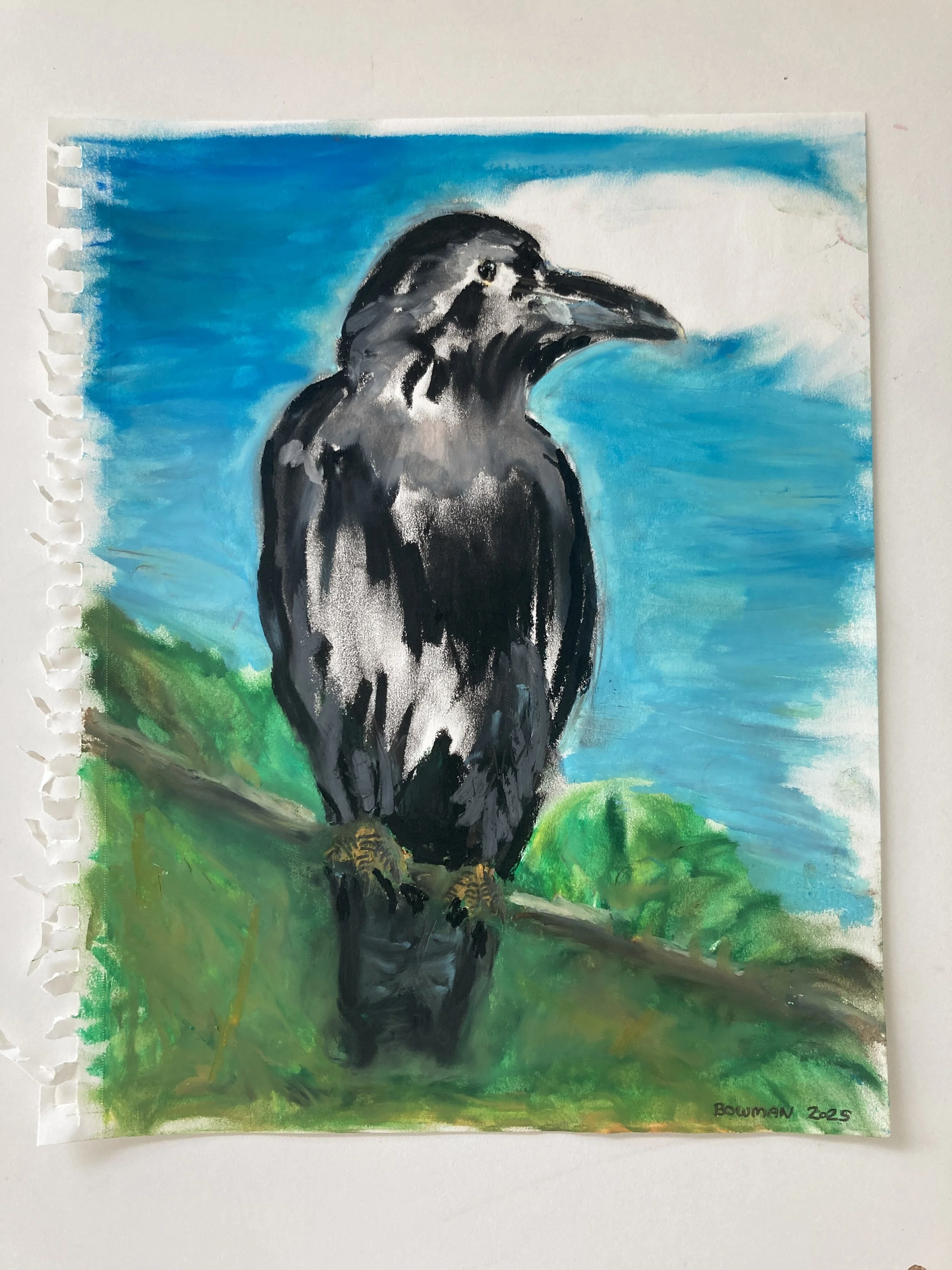  Sweet Bird, Oil pastel and pencil on paper, 2025 