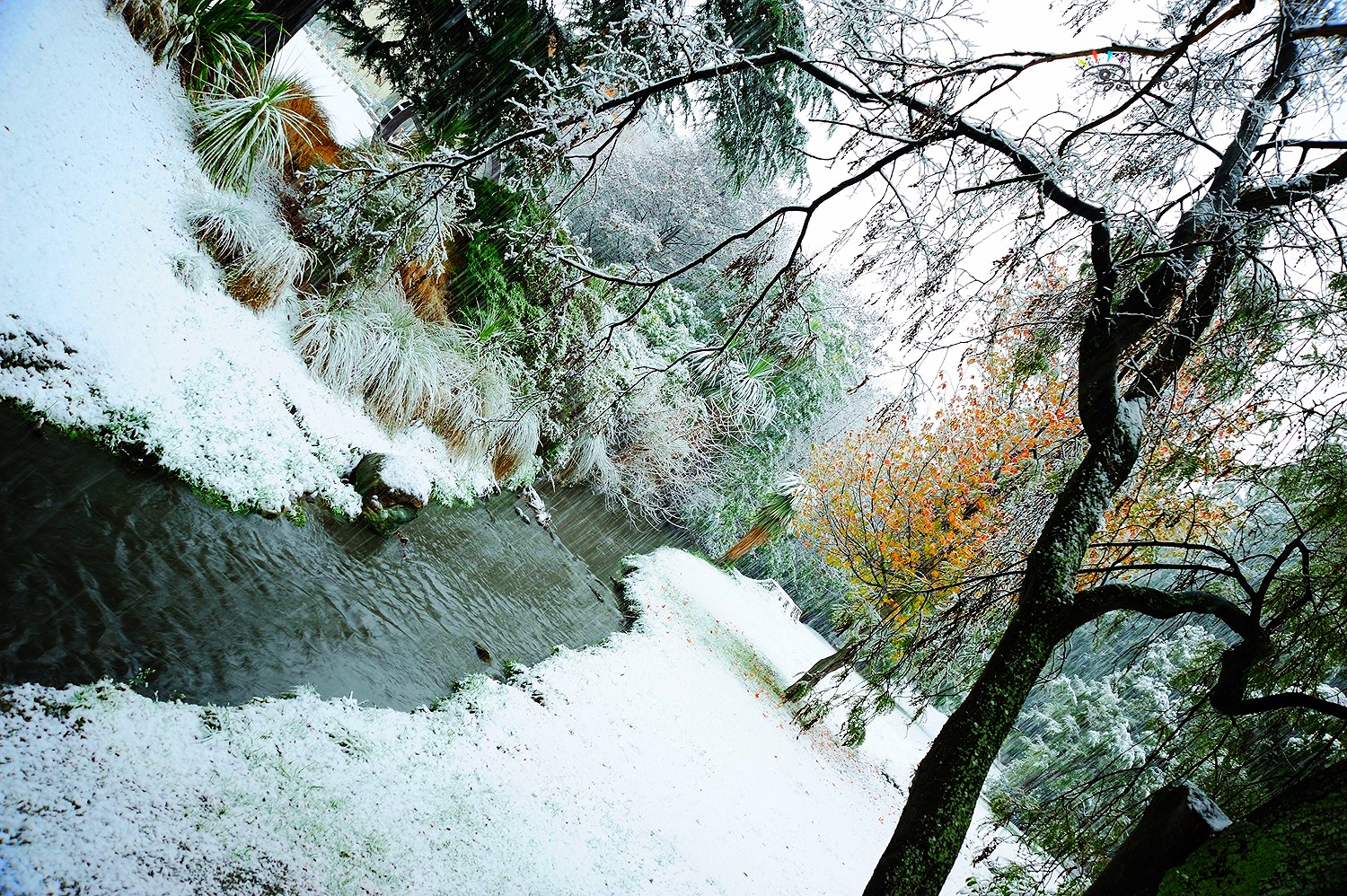 creek in snow