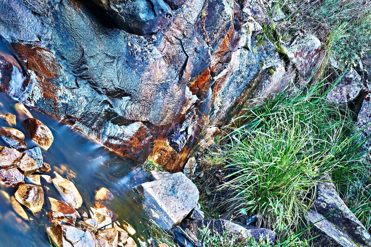 watery garden