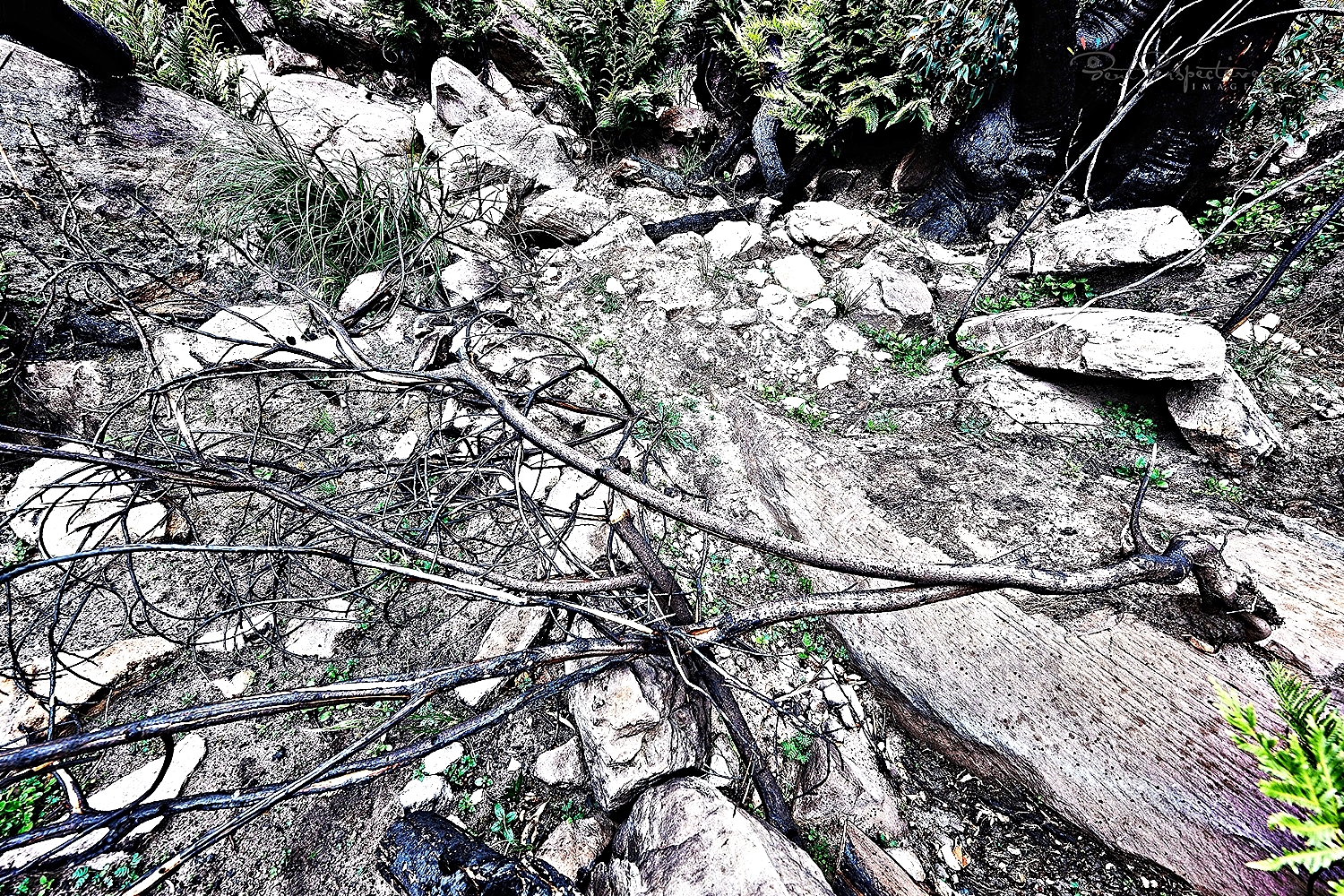 after the fires..