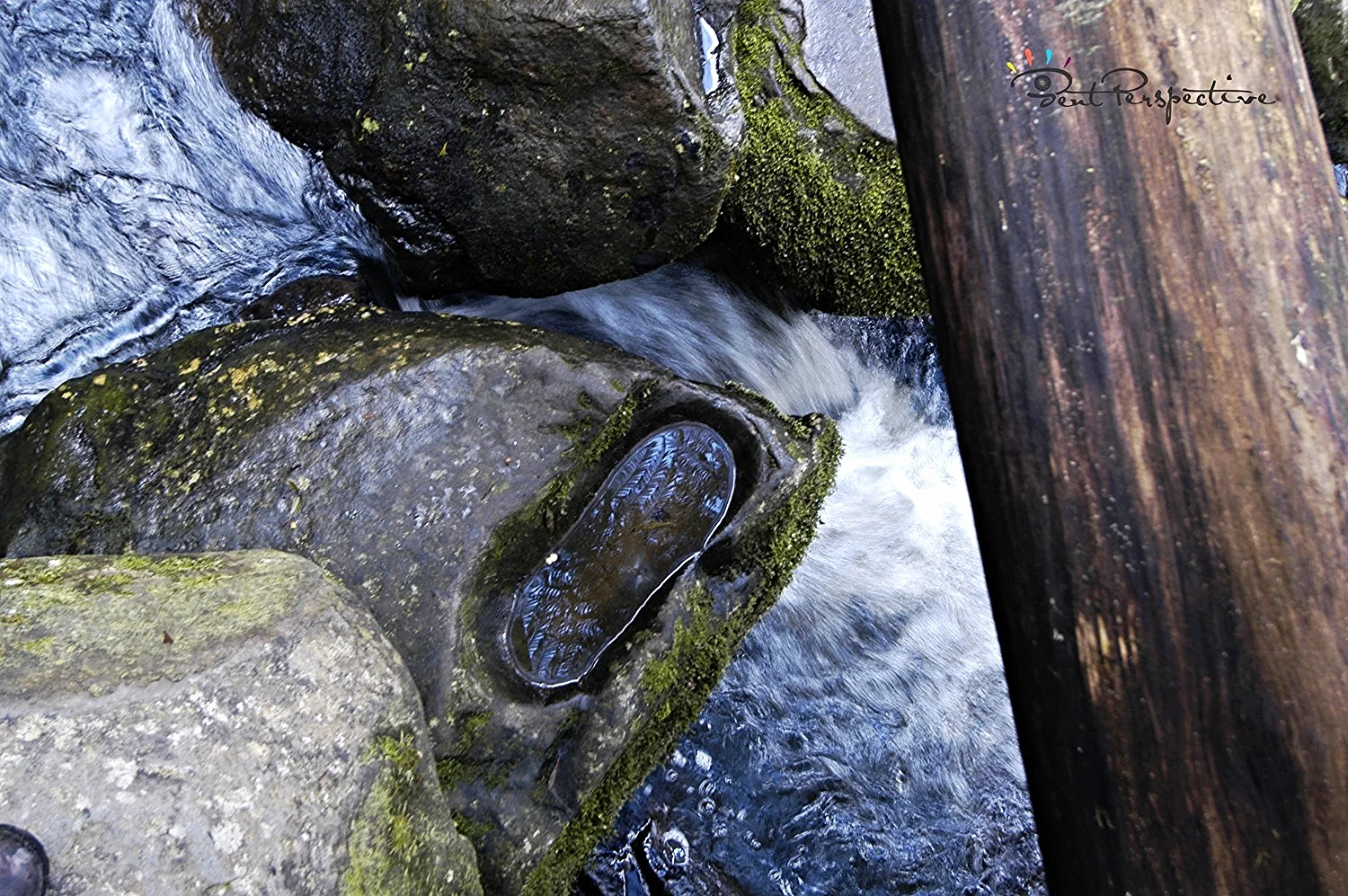solitary footprint