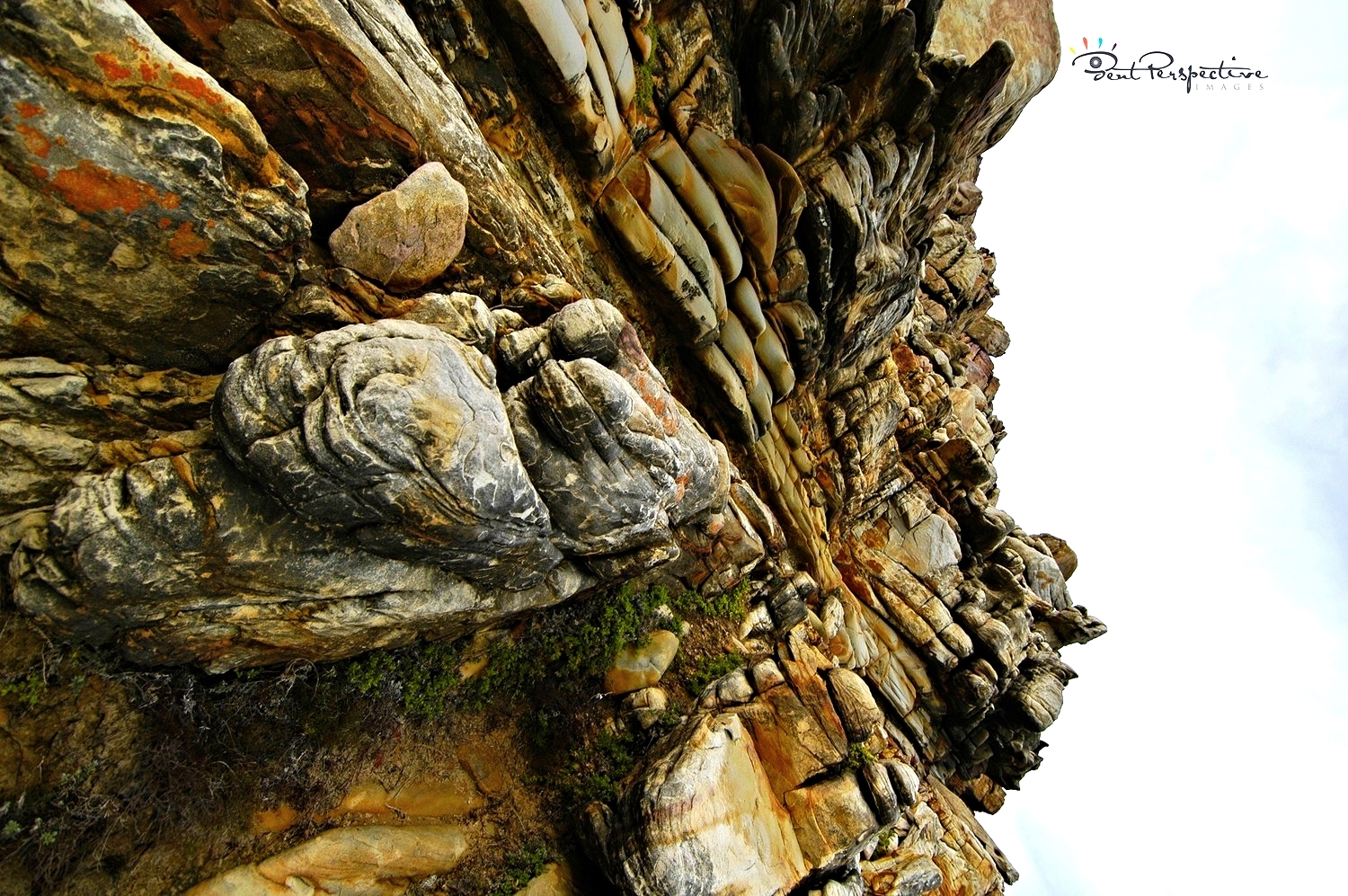 shapes & textures