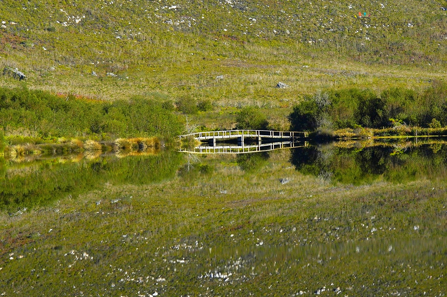 bridge over water