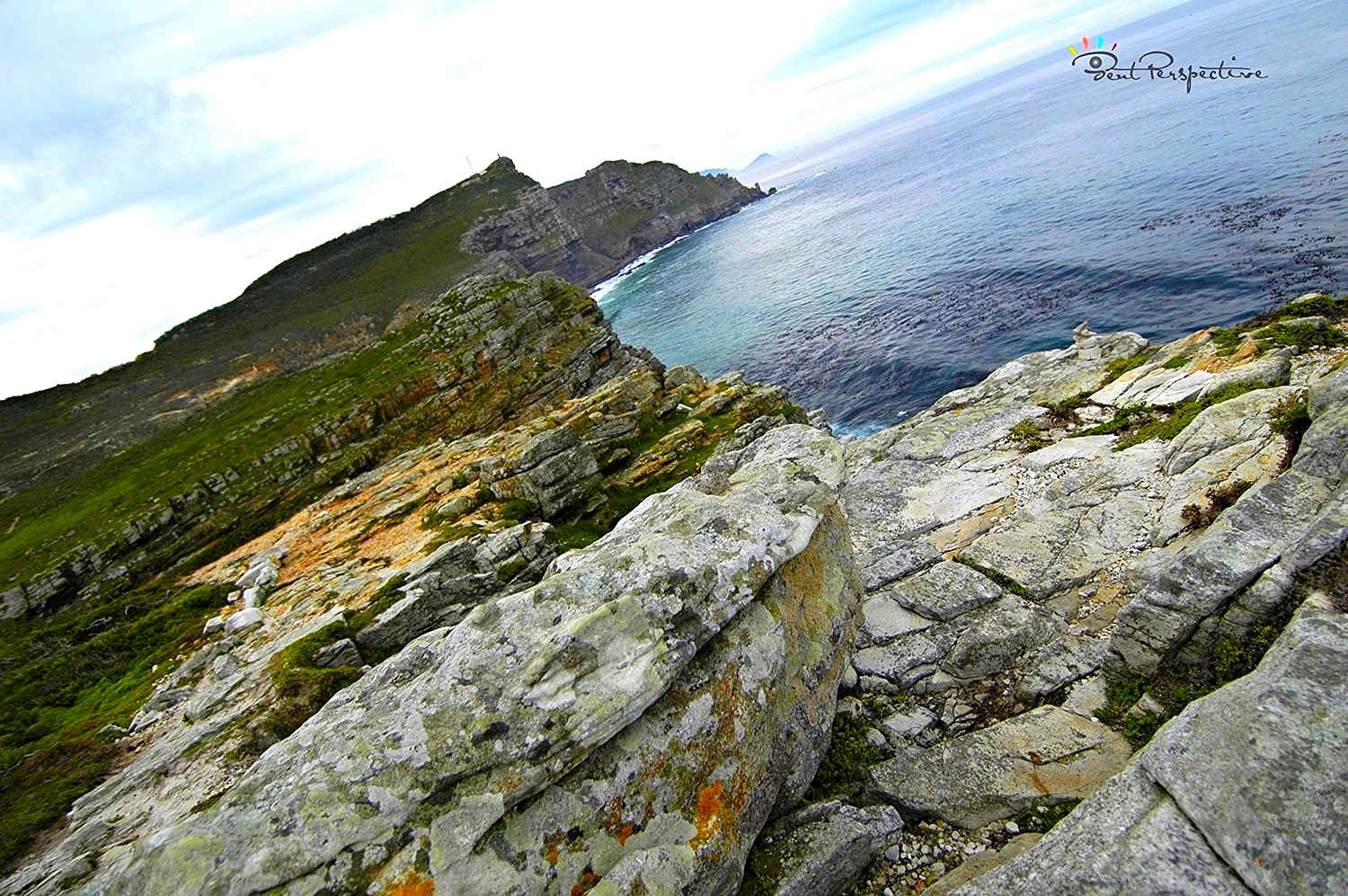 rocky vista