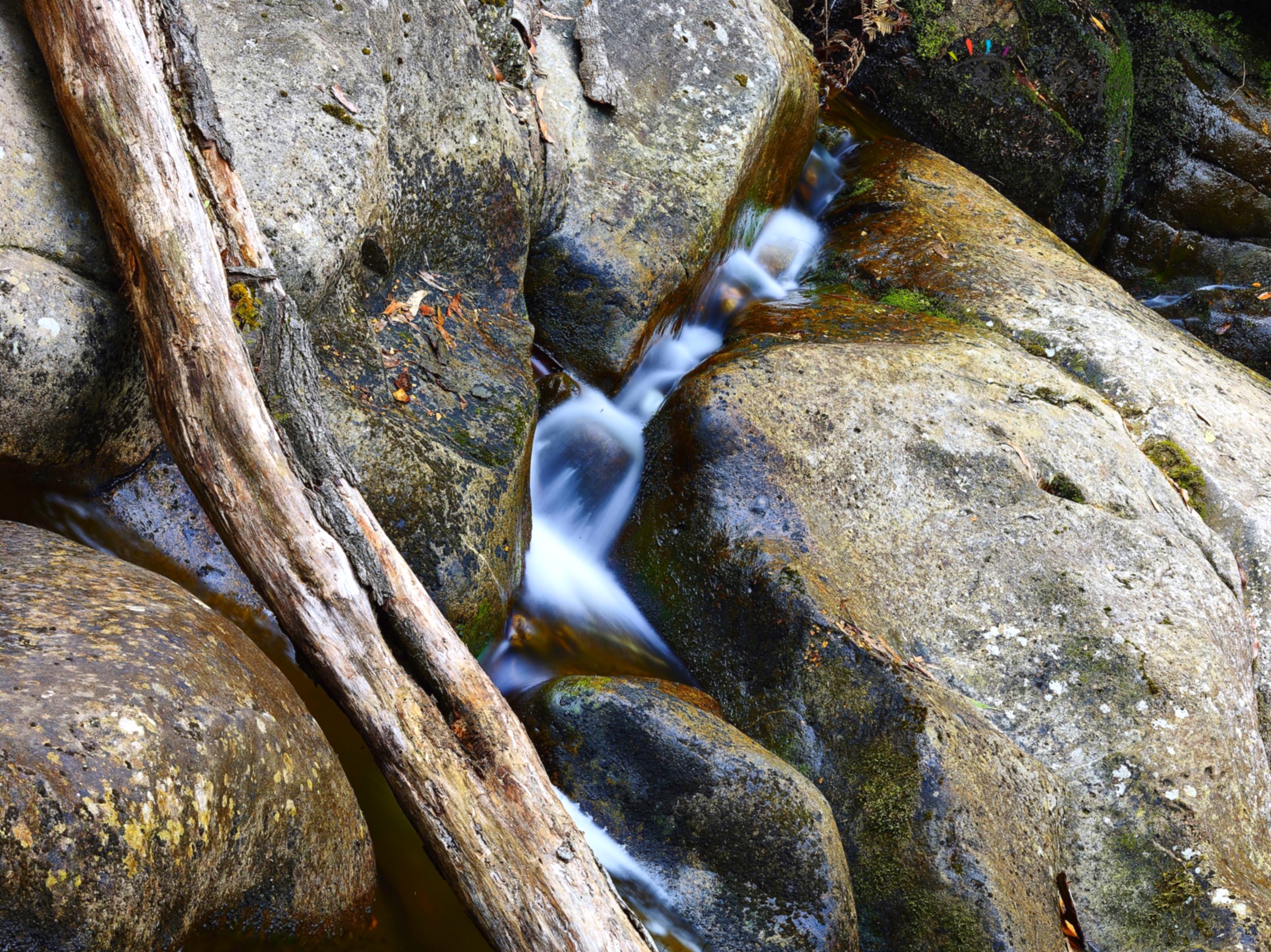 natural contrasts
