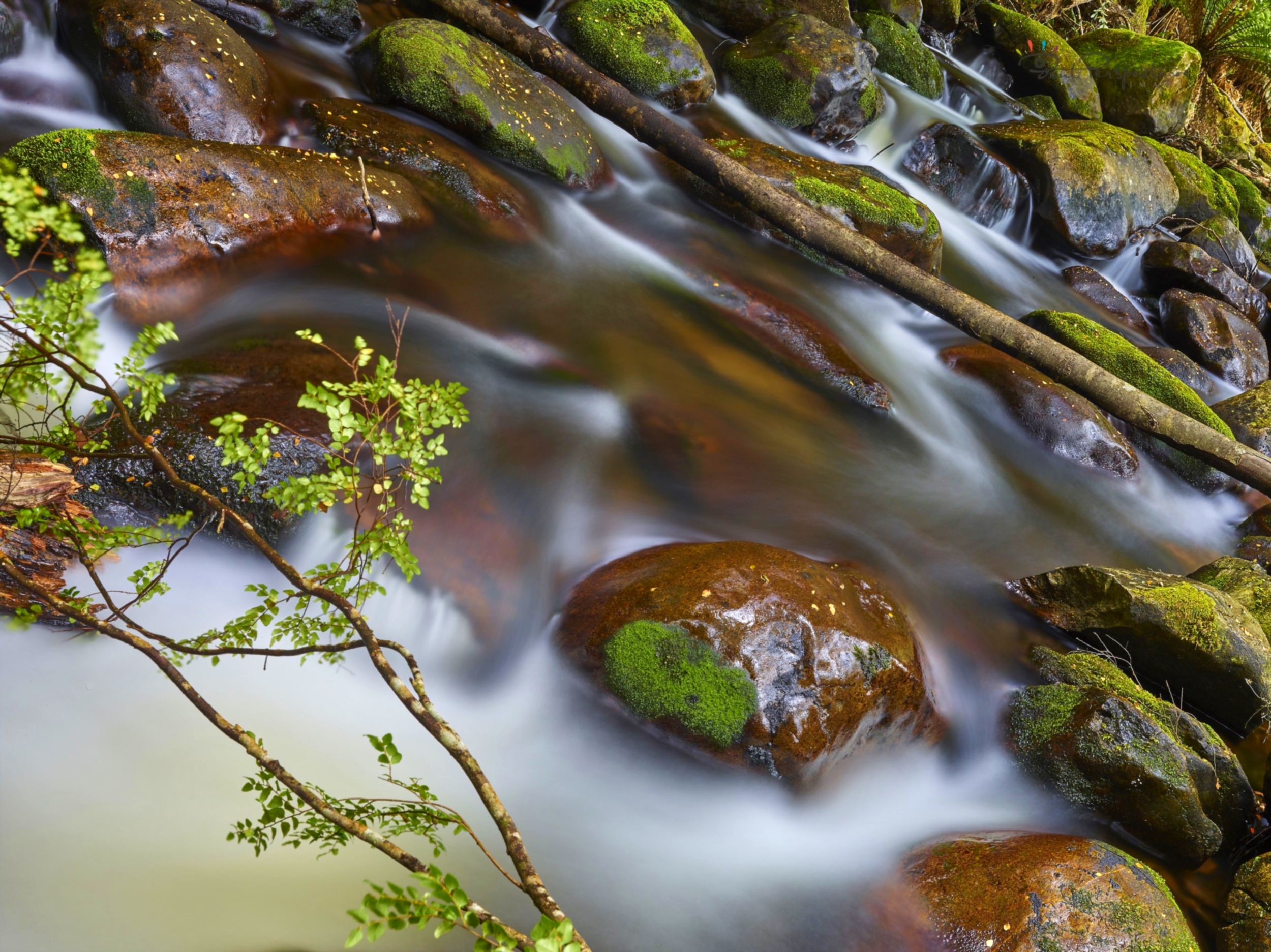 stepping stone