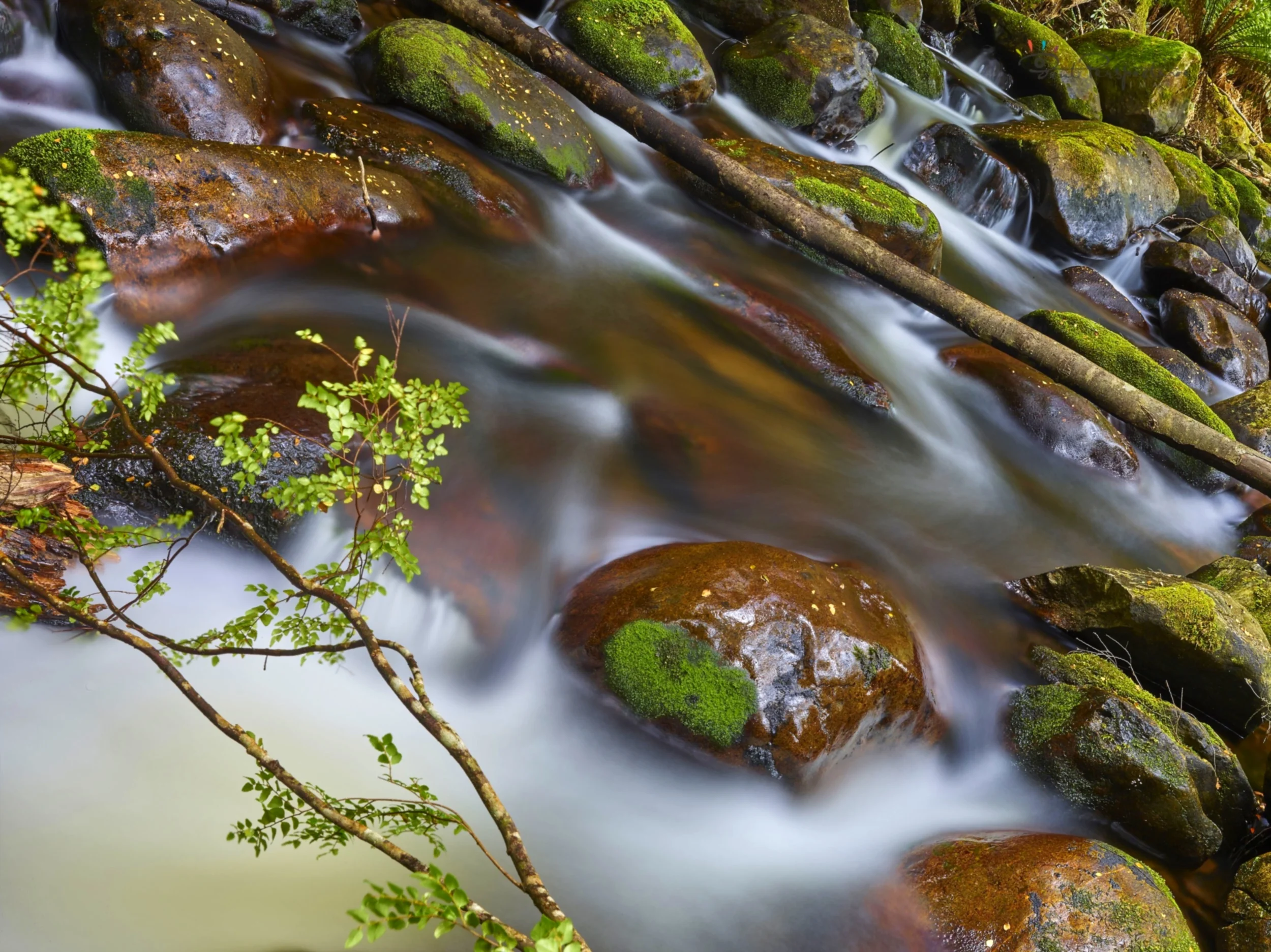 stepping stone