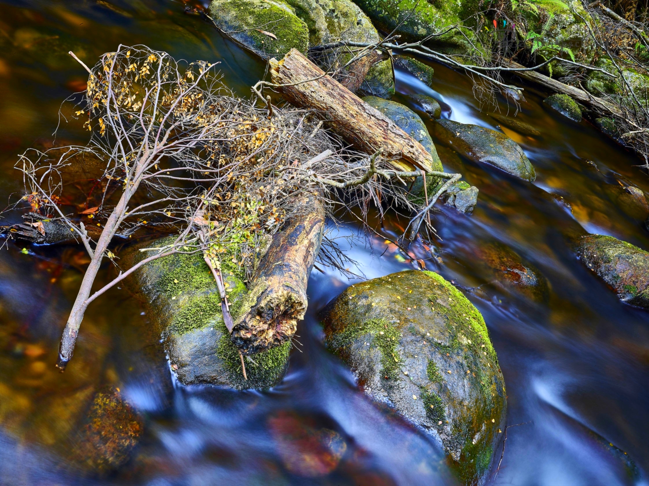 marooned