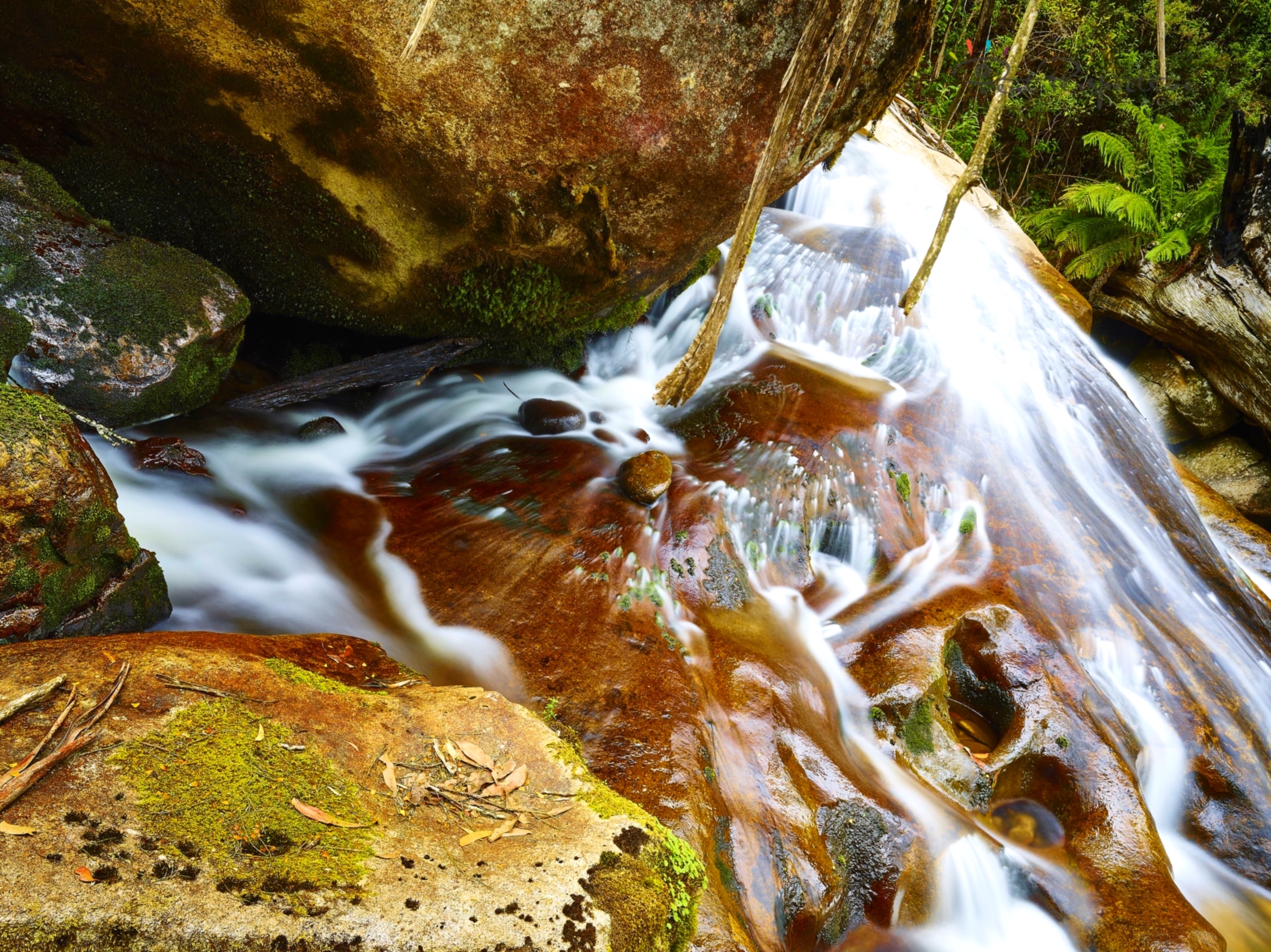 watery shapes