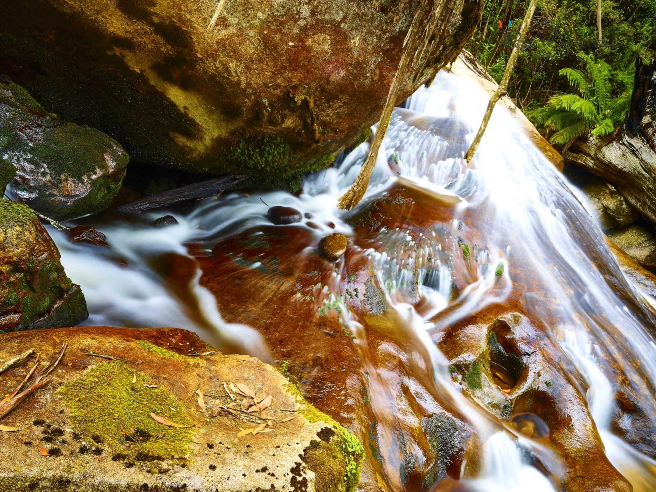 watery shapes