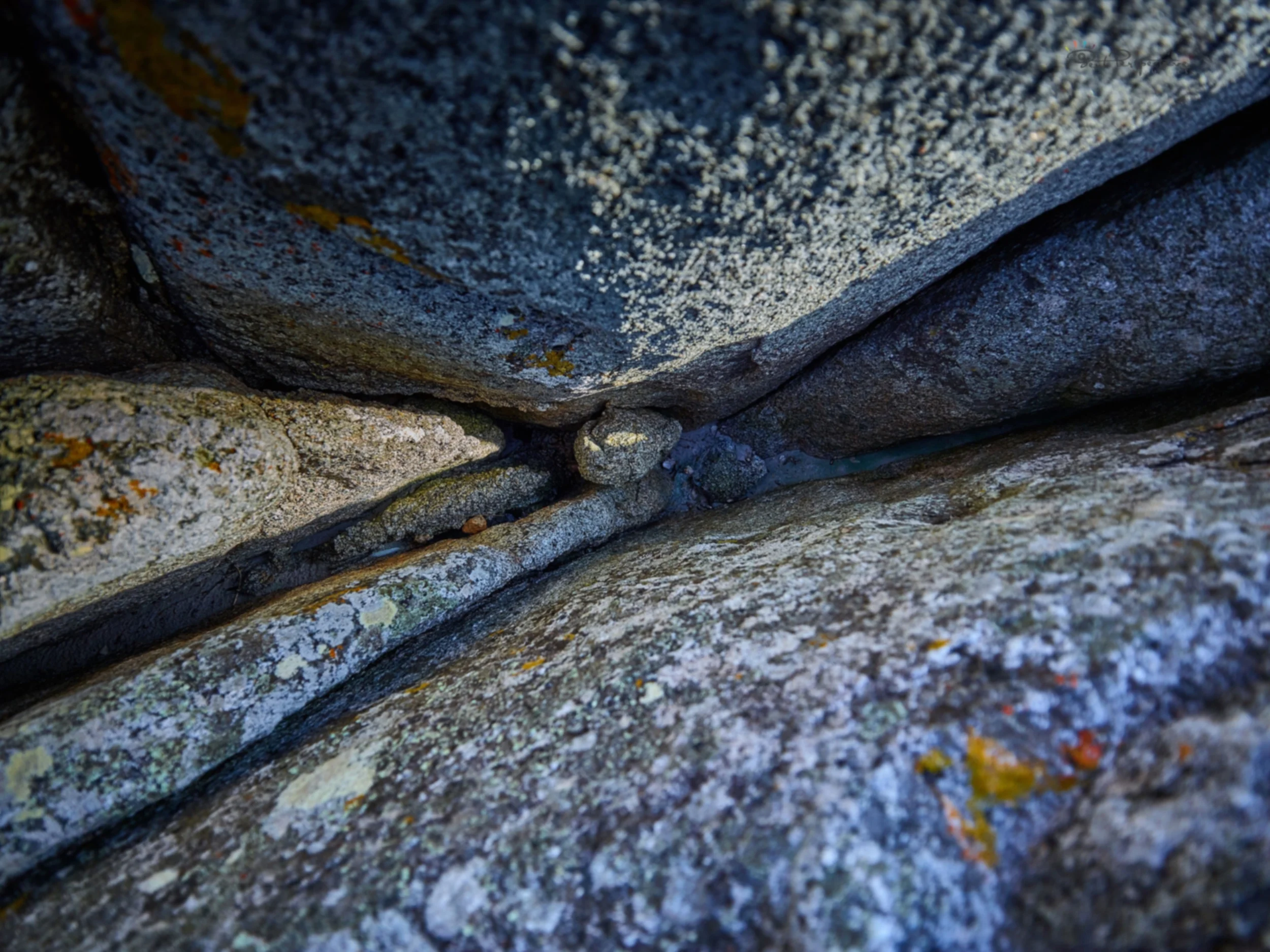 long way down