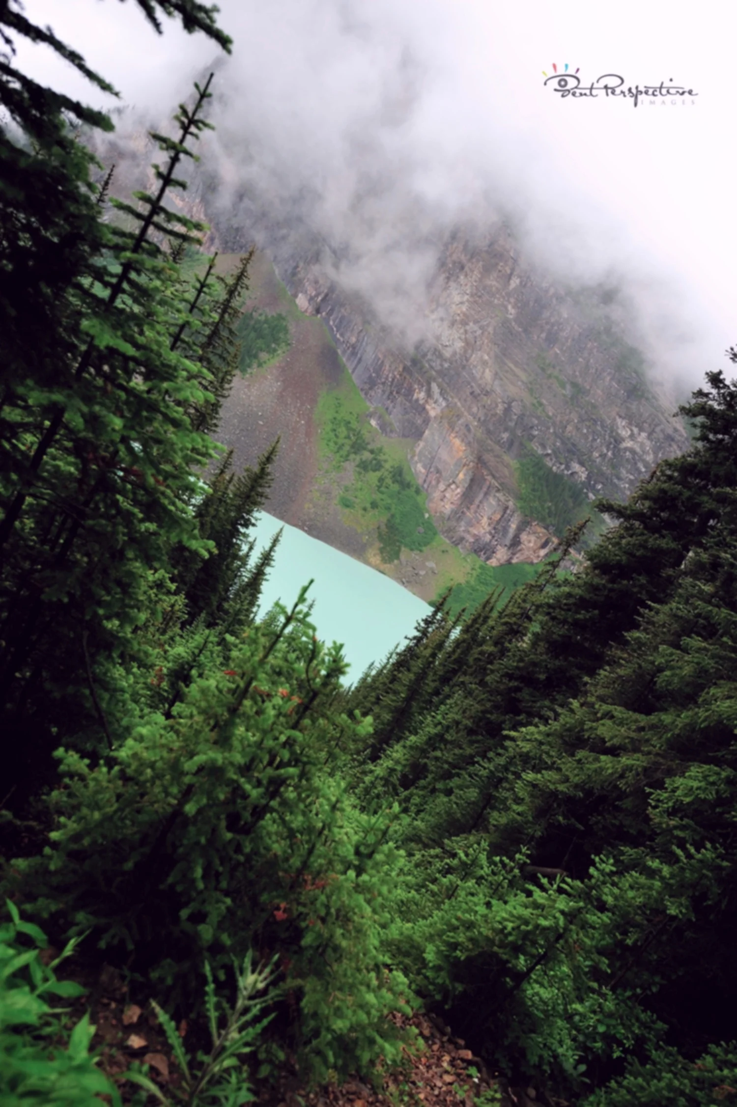 glimpse through trees