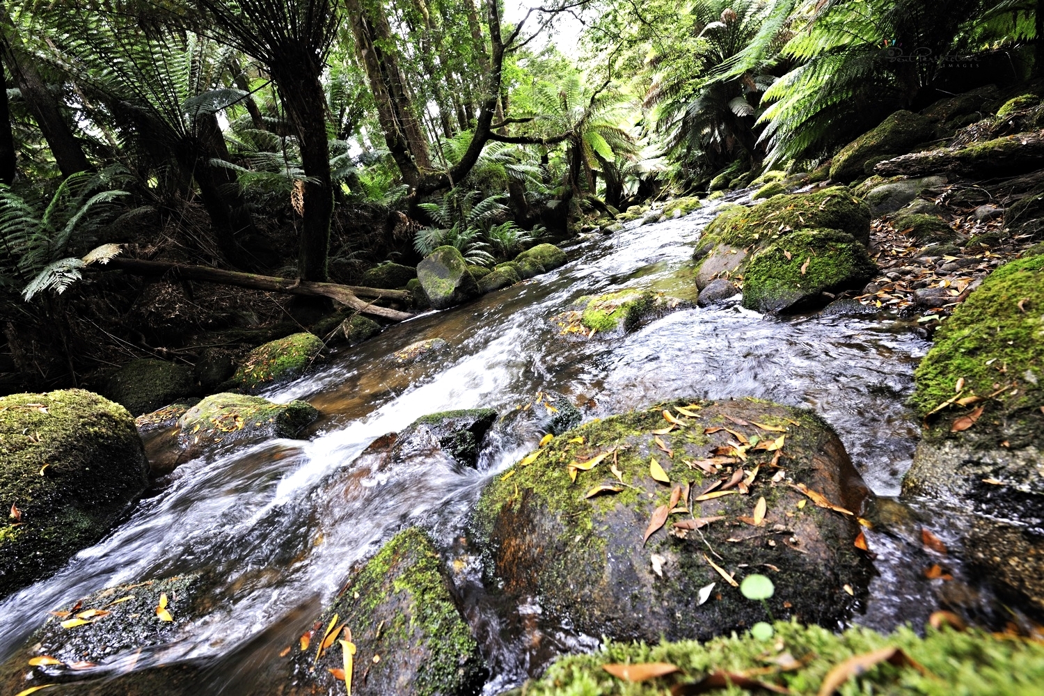 valley of water