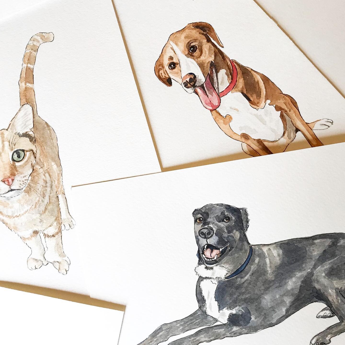 Throwback to my very first dog portraits that started them all. 🥰 

#watercolor #watercolorart #watercolorandink #birmingham #birminghamalabama #watercolorartist #petportrait #petportraitartist #petsofinstagram #dogsofinstagram #dogportrait #dogwate