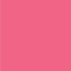 Pink HEX: #F16482 RGB: 241, 100, 130 CMYK: 0, 76, 29, 0