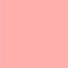 Light Red HEX: #FFADAD RGB: 255, 173, 173 CMYK: 0, 40, 20, 0
