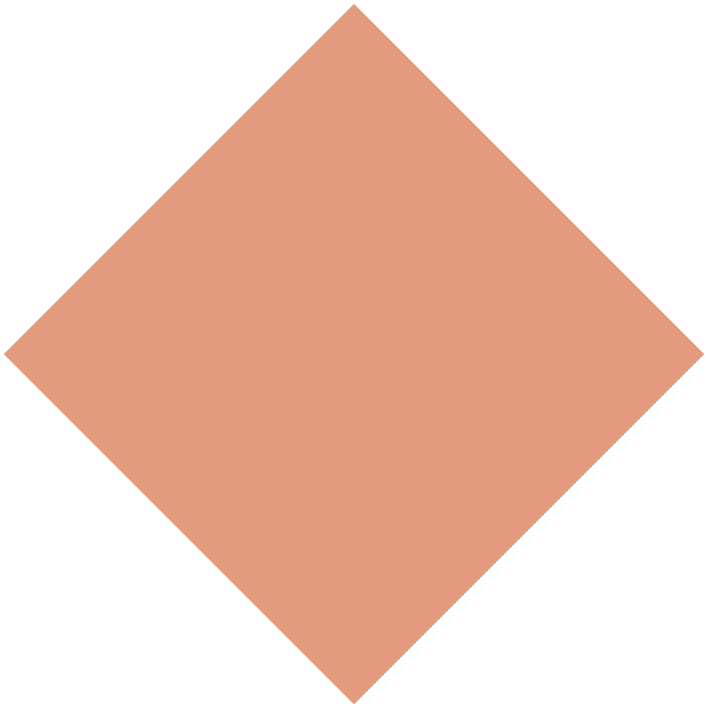 Pink HEX: #e39b7d RGB: 227, 155, 125 CMYK: 9, 45, 50, 0