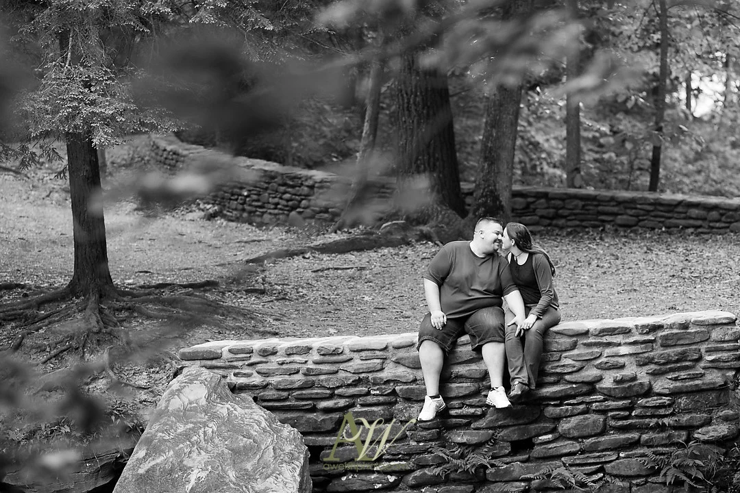 jenn-ryan-letchworth-park-engagement-07.jpg