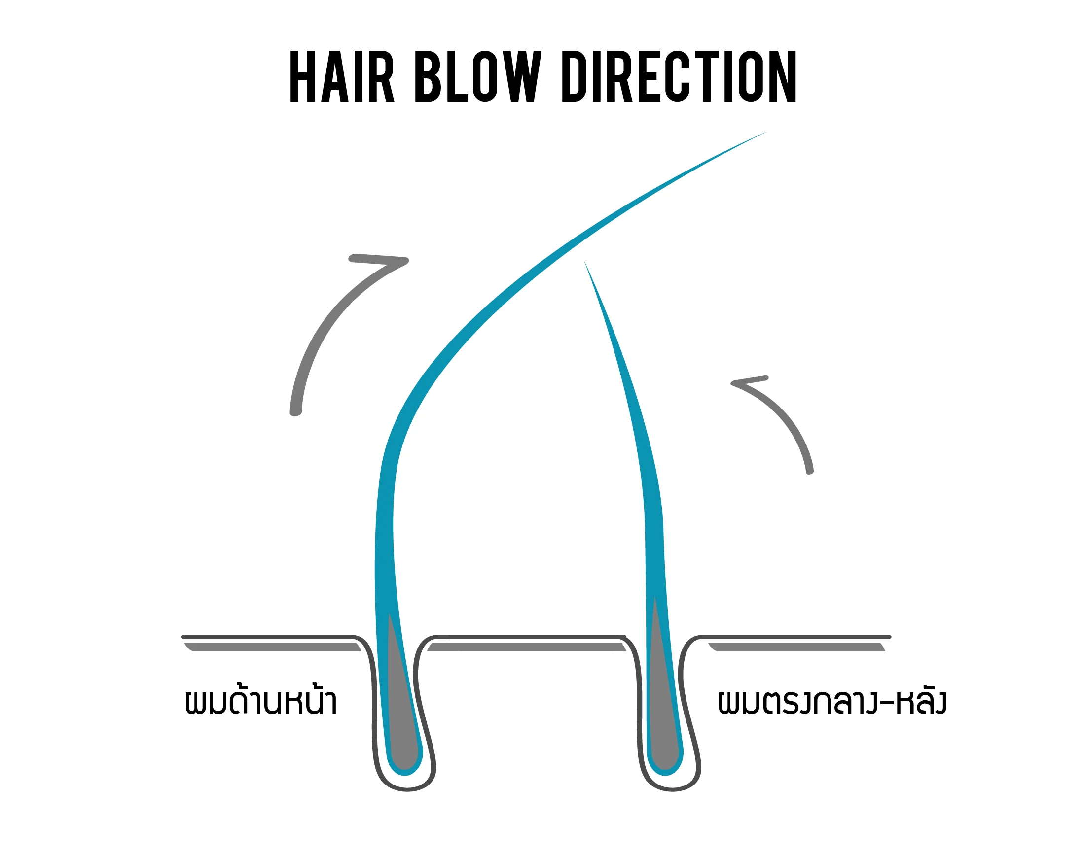 ผมด้านหน้า ไดร์ย้อนหลัง (ตามรูปประกอบ), ผมด้านหลัง ไดร์มาด้านหน้า (ตามลูกศรในรูป) ให้เกิดการพยุงกันอัตโนมัติ