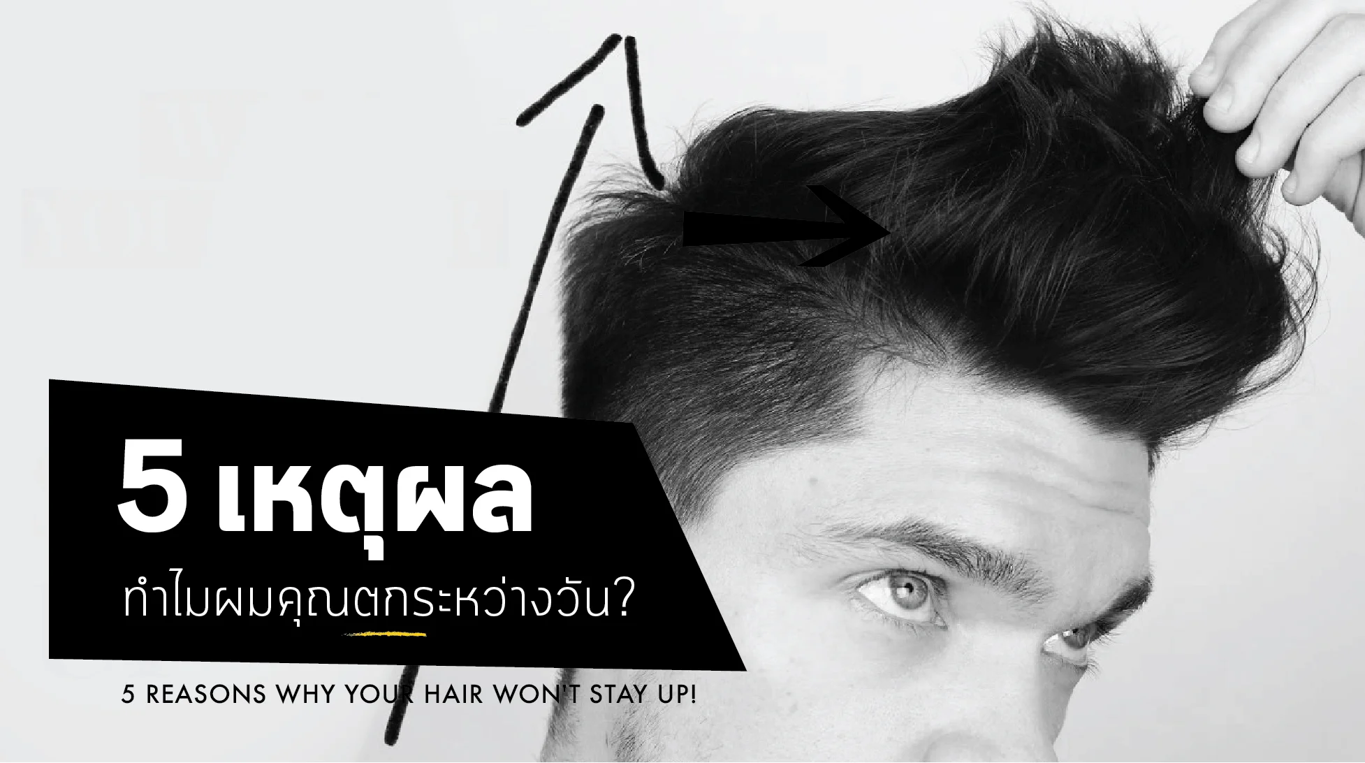 หายคาใจ.. 5เหตุผล ทำไมผมคุณตกระหว่างวัน?