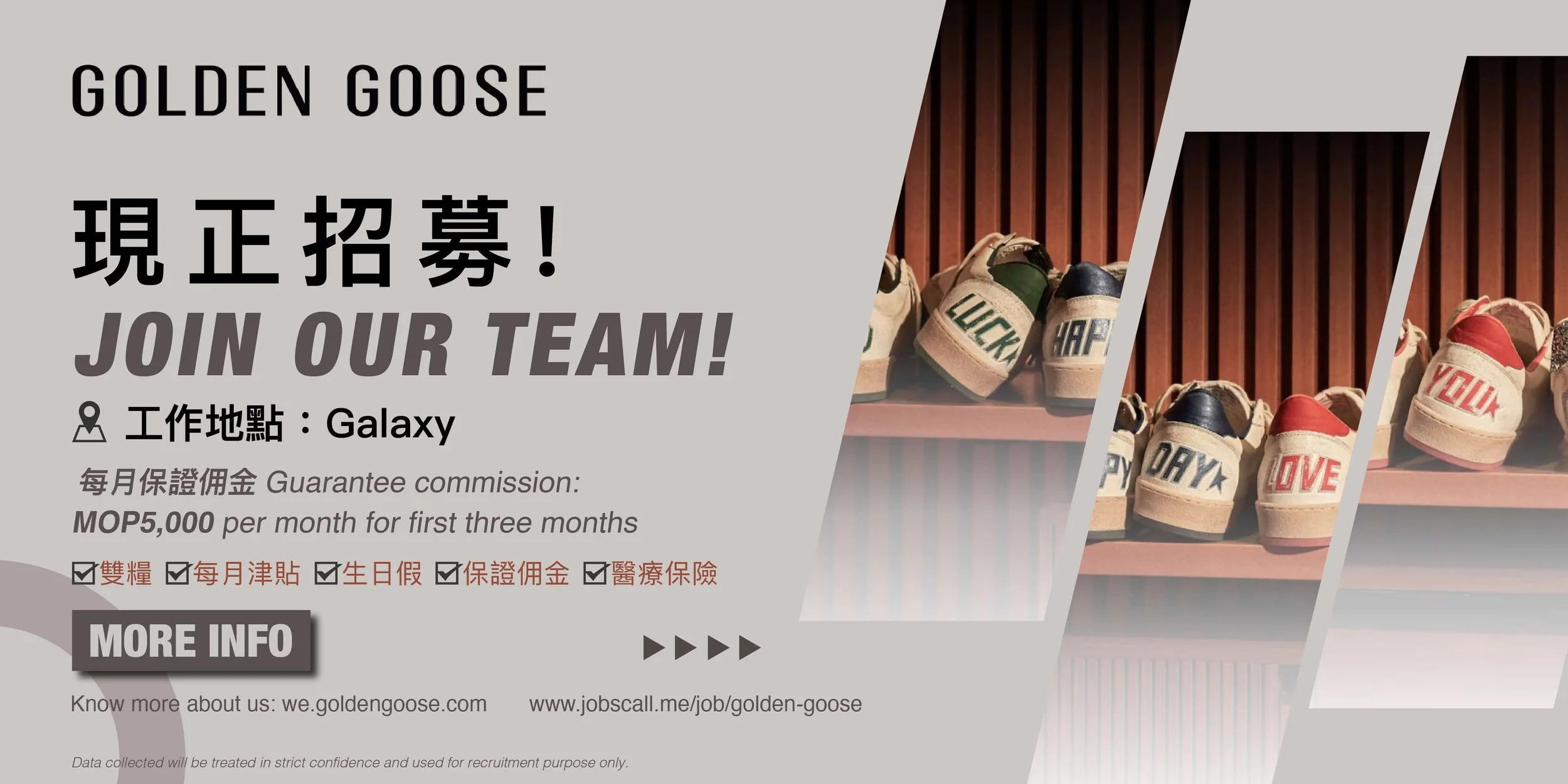 Golden Goose Top Banner.jpg