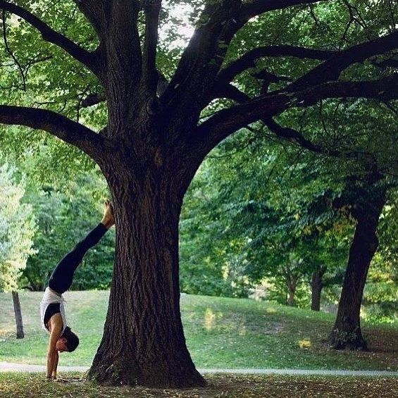 A U T U M N
Here is to a new season.
Watch as the trees show us how lovely it can be to let things go. 
Be it.
Feel it.
Release it.

Thankful for this remarkable practice that not only strengthenes my body but my connection to its natural seasonal shifts. Nothing feels better than the warm embrace from a cosy yoga room as the cooler and darker days of winter approach us. 
Discover your process with me on the mat @ thesweatlifestudio
www.thesweatlifewithk8.com/classes-info/

#thesweatlifewithk8 #movingtogether #trusttheprocess #whyiyoga #pushpause #mindfulmovement #goodthings #yourhealthiestyou