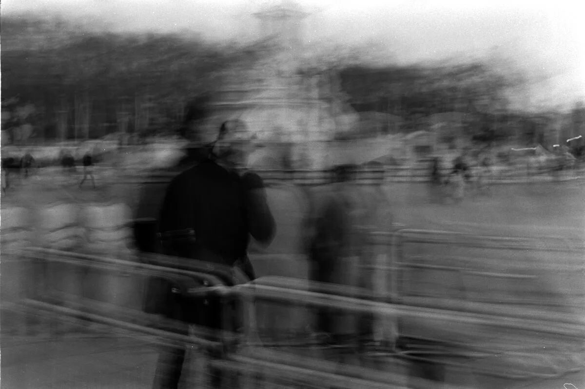 2443_036.jpg