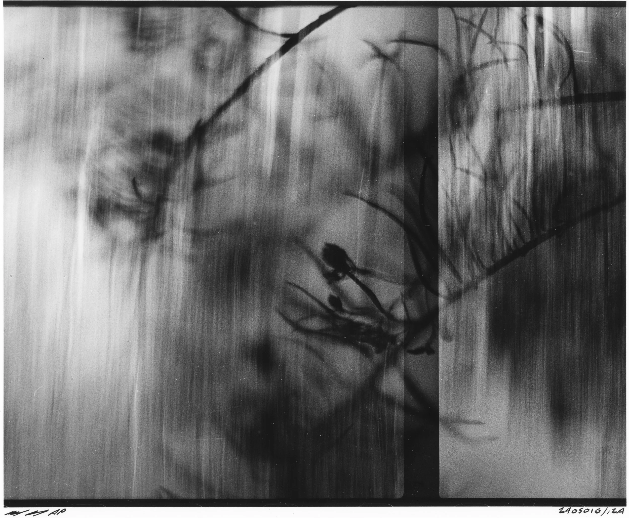 Ephemeral 2405010-12A.jpg
