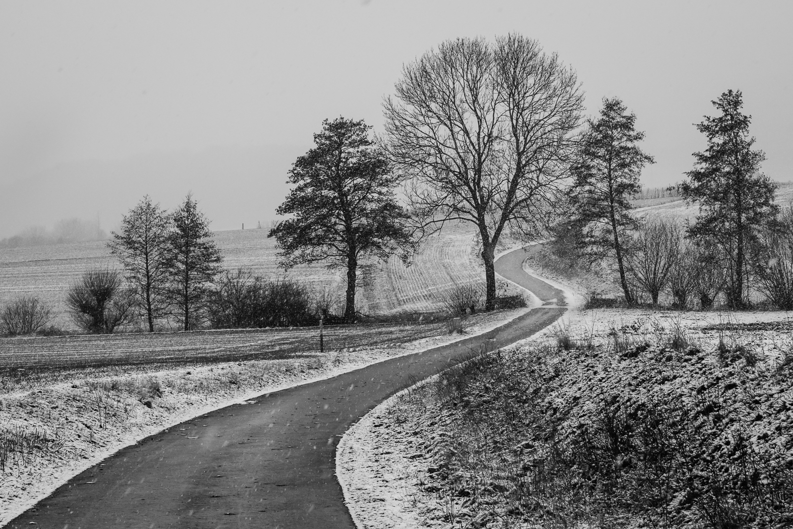 bliss road , Germany 2013