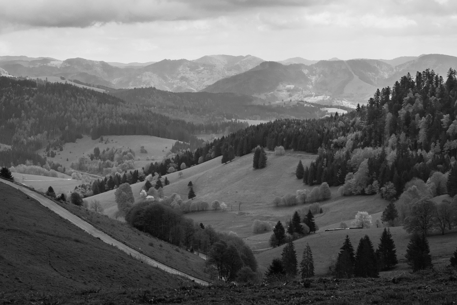 where I live ... Black Forest, Germany