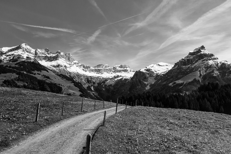 where I go running ... Swiss Alps