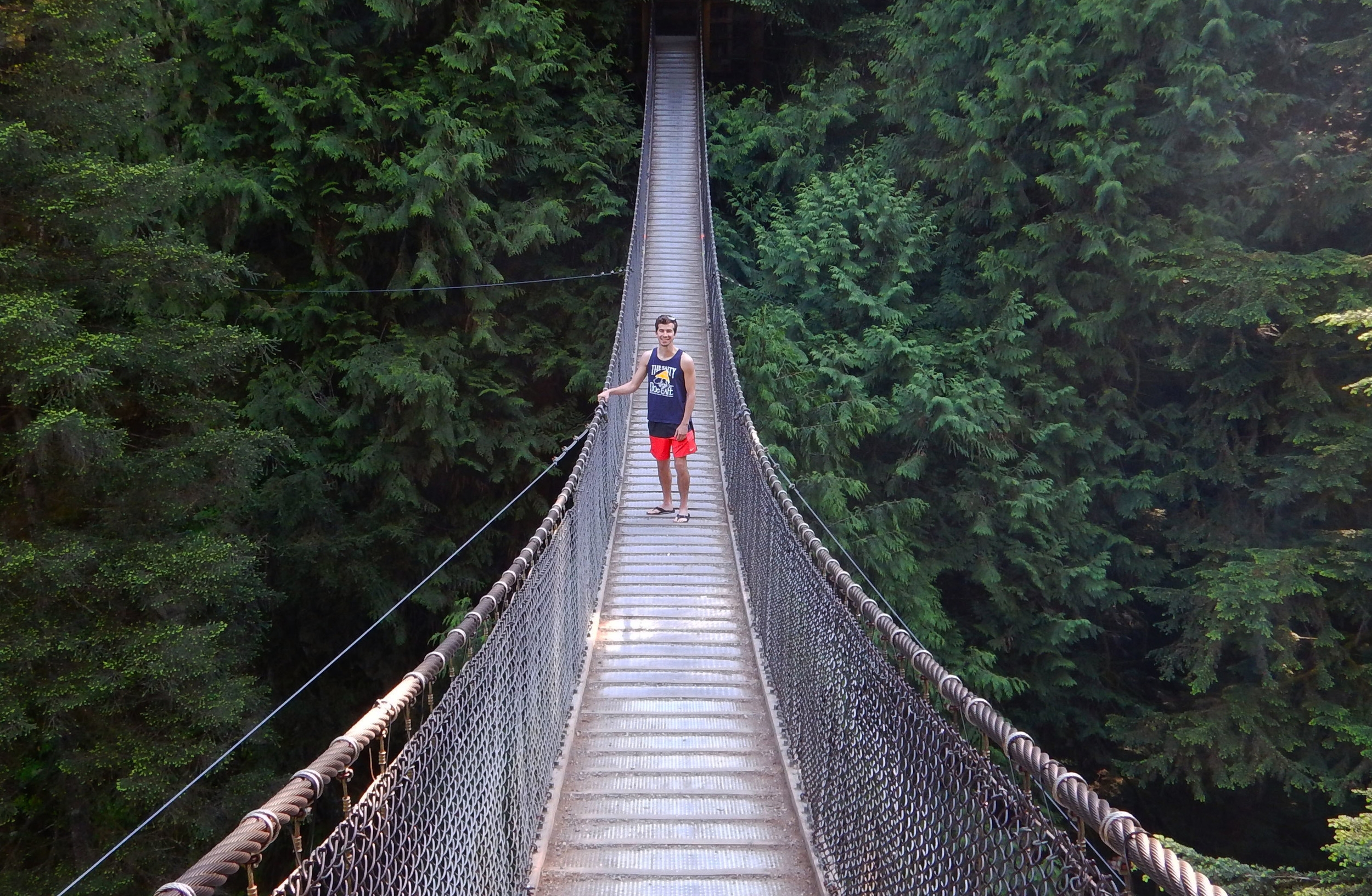 Vancouver tour of Lynn Canyon.