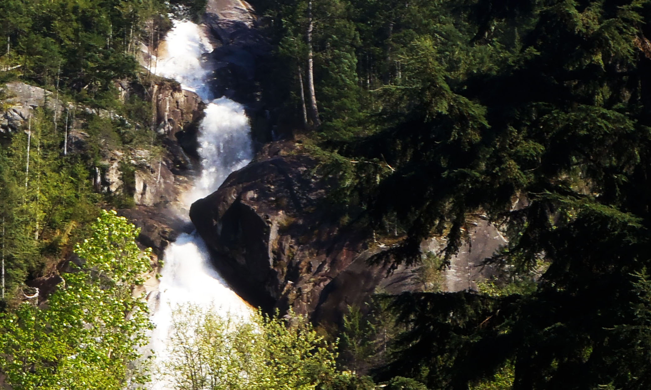 Shannon falls during a Squamish tour.