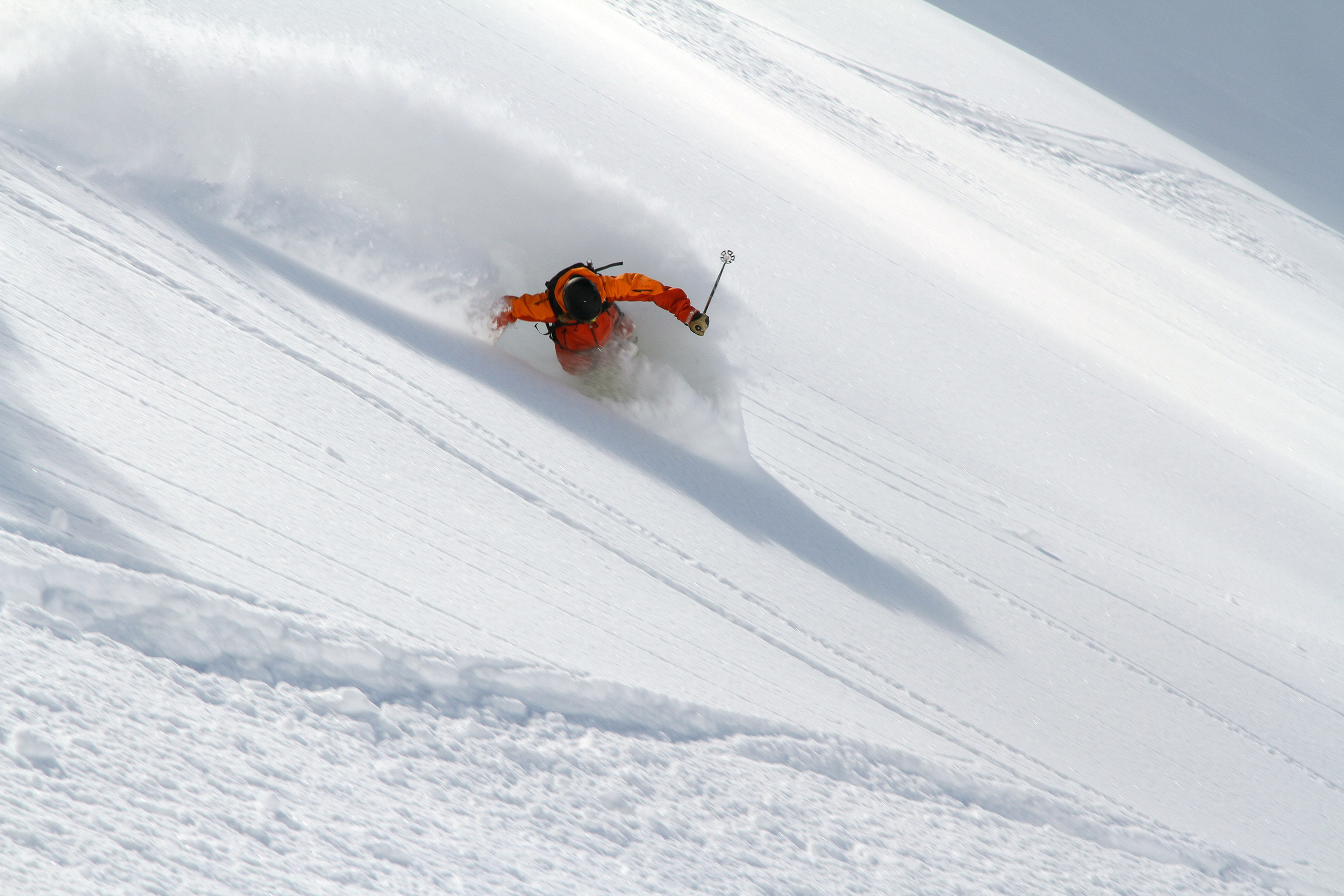 Powder skiing on a intro to ski touring course at Kicking Horse Mountain Resort.