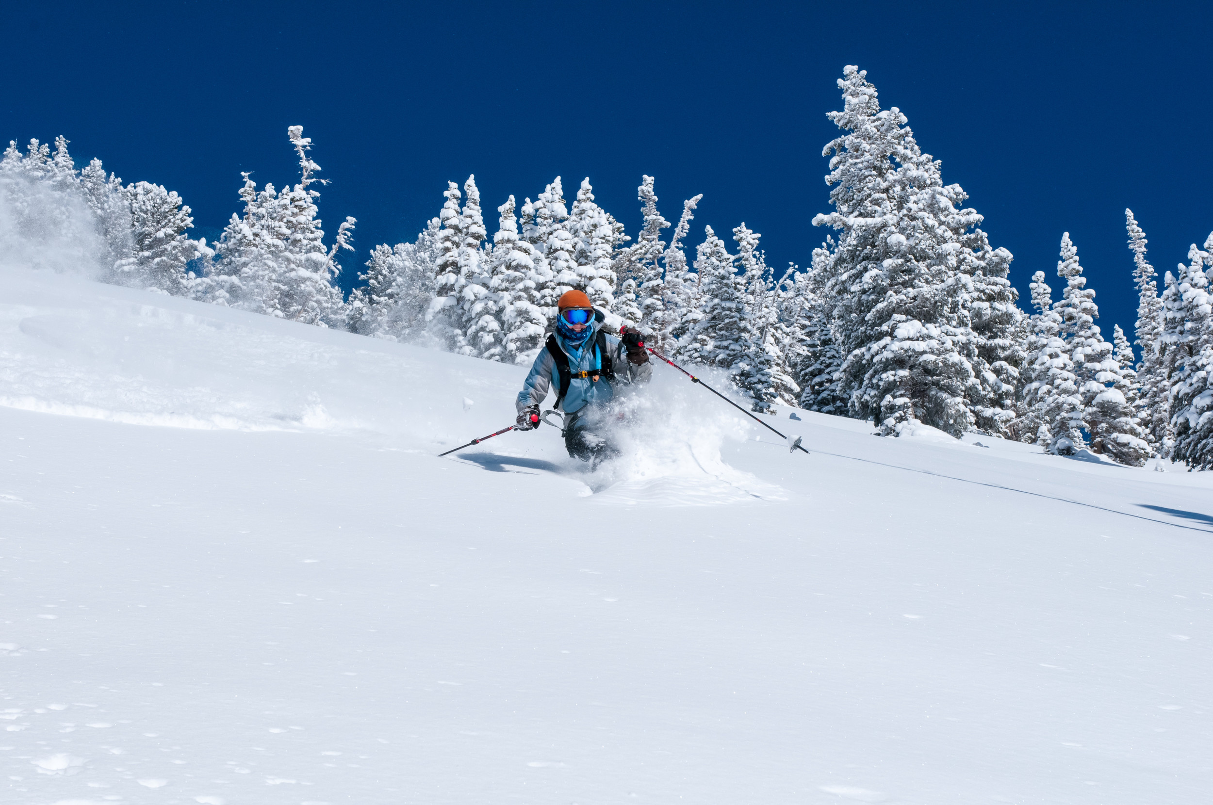 Powder skiing in Canada on your BC ski safari.