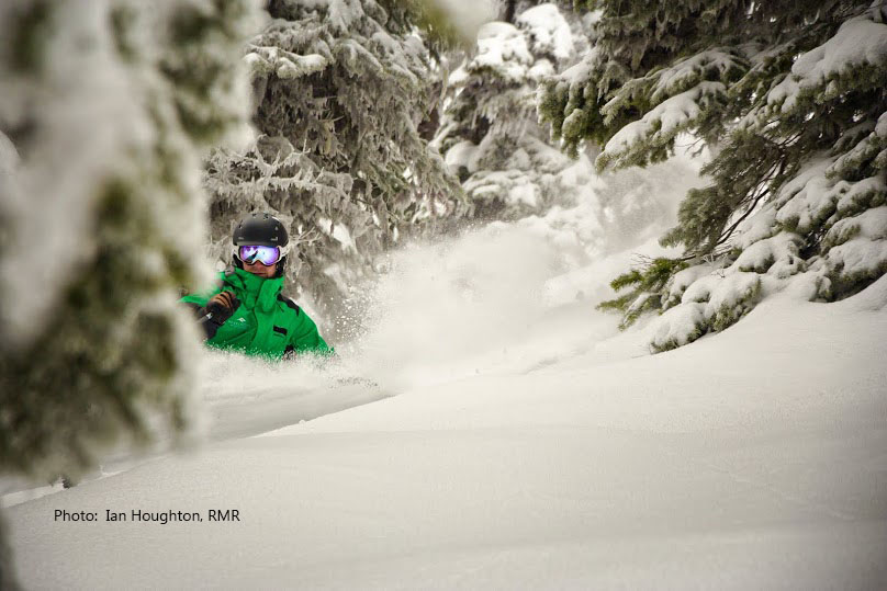 Canadian tree skiing on a BC ski safari