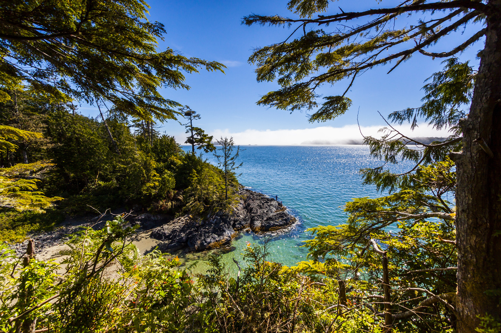 BC adventure tours on Vancouver Island.