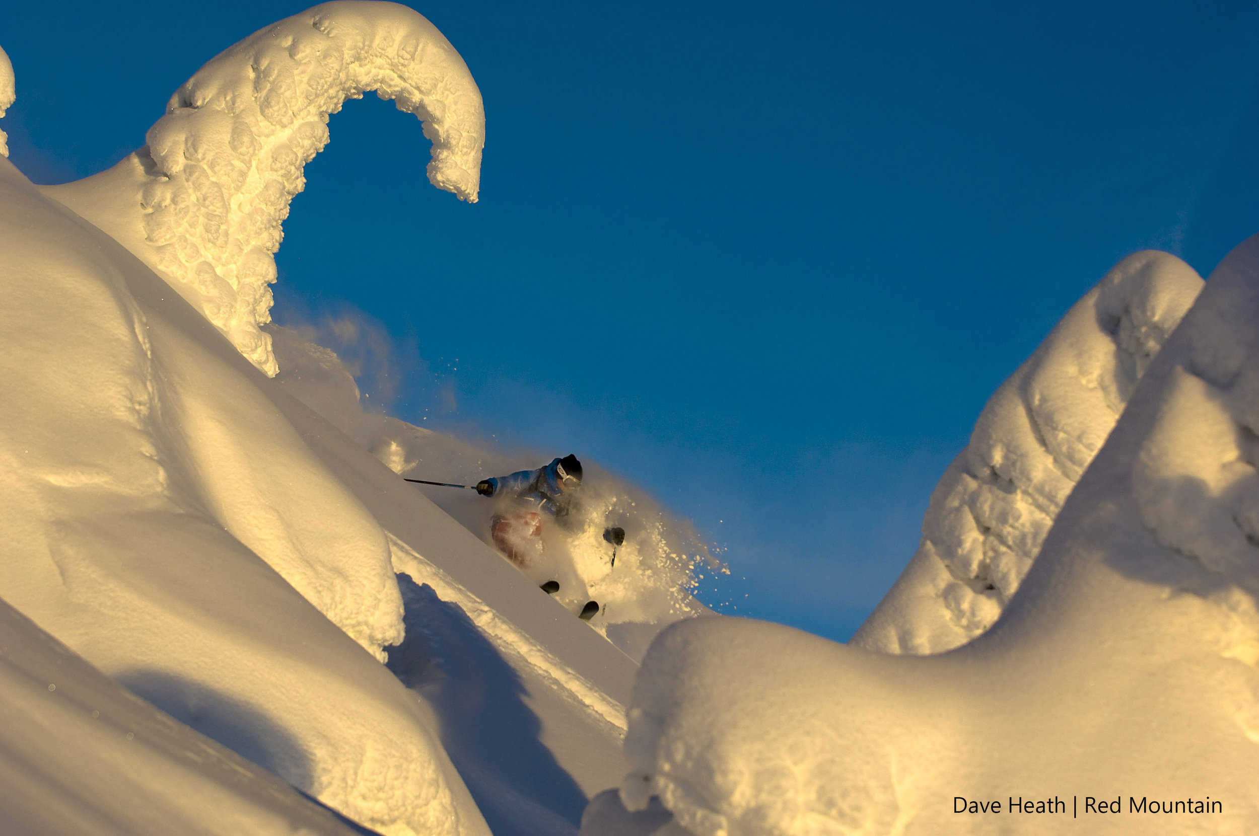 REDTrees&Powder-16-©heath.jpg