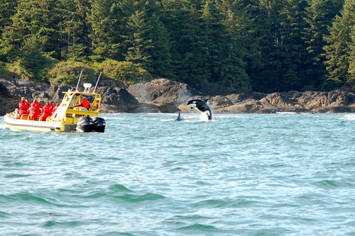 Tofino adventure tours with Ocean Outfitters