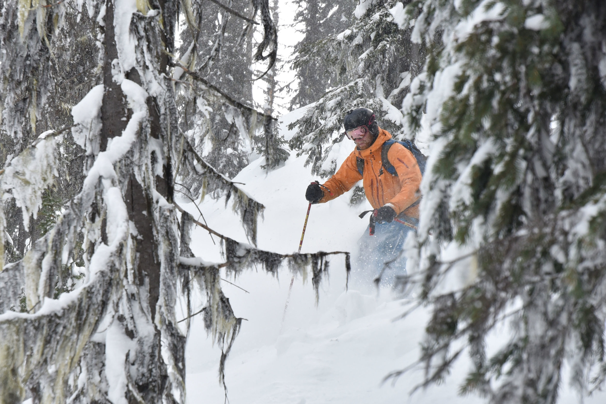 Guided skiing on the Powder Highway.