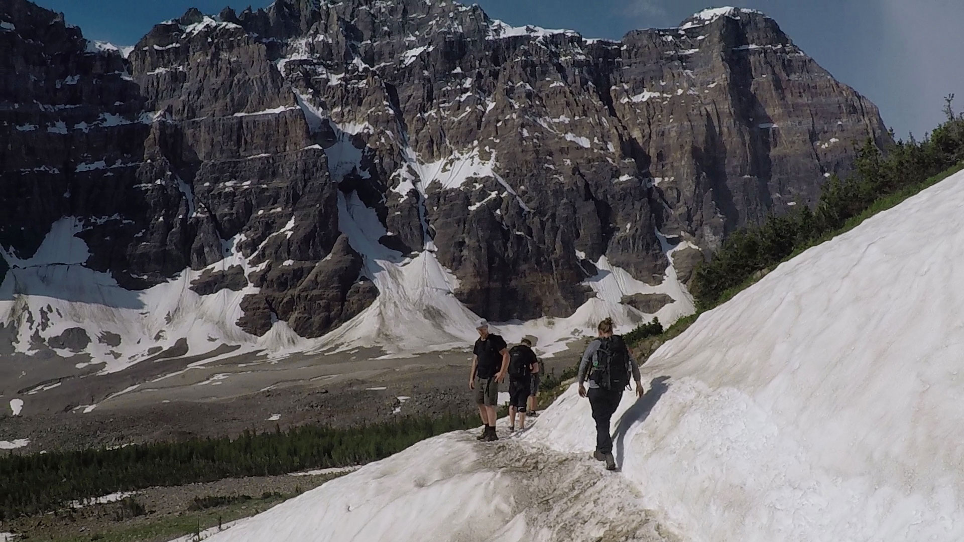 Hiking with local guides near Banff.