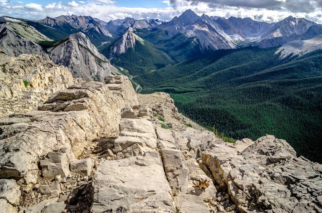 Guided hiking tour in the Canadian rocky mountains.