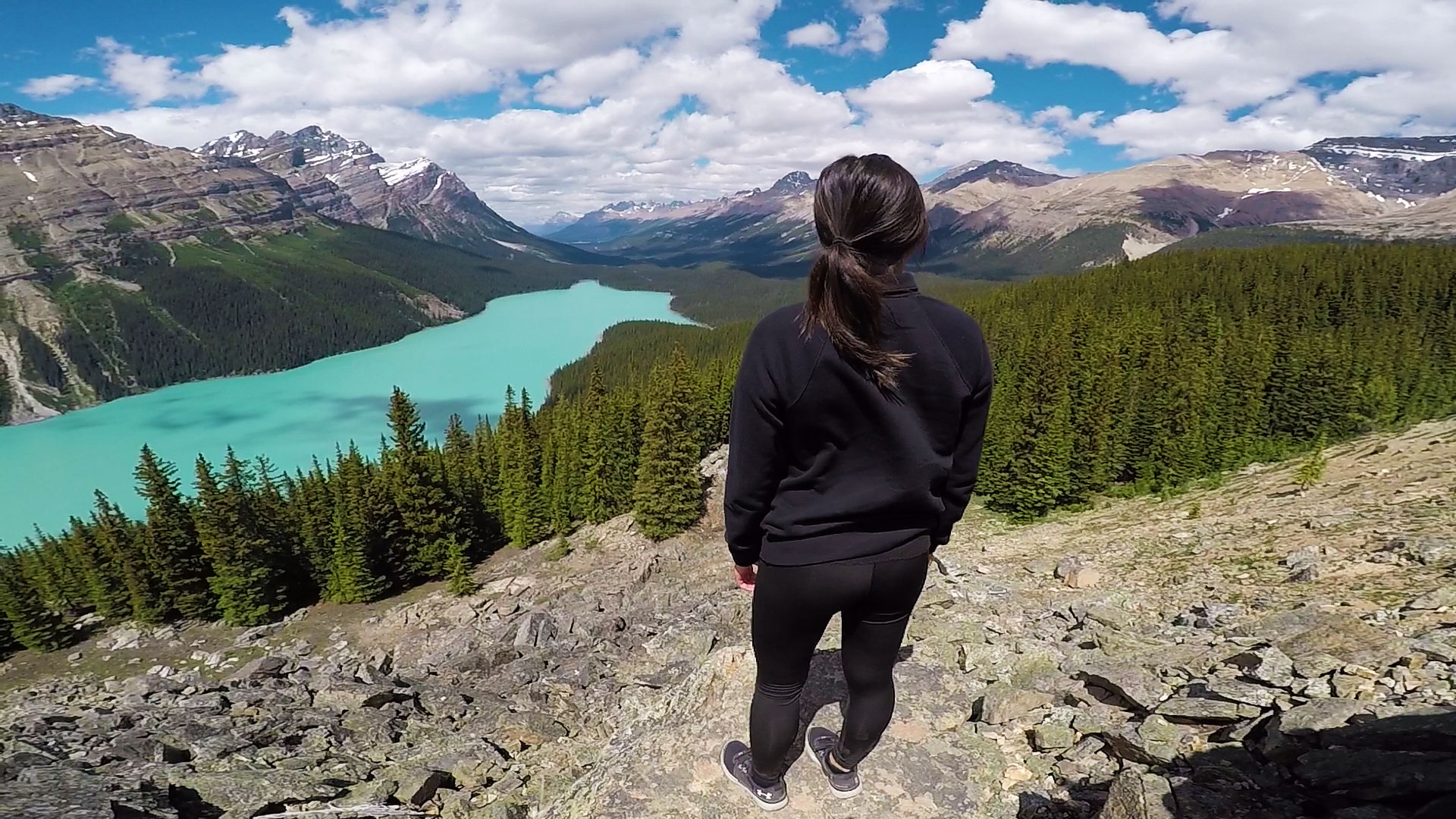 Peyto Lake during a tour of the Icefields Parkway.